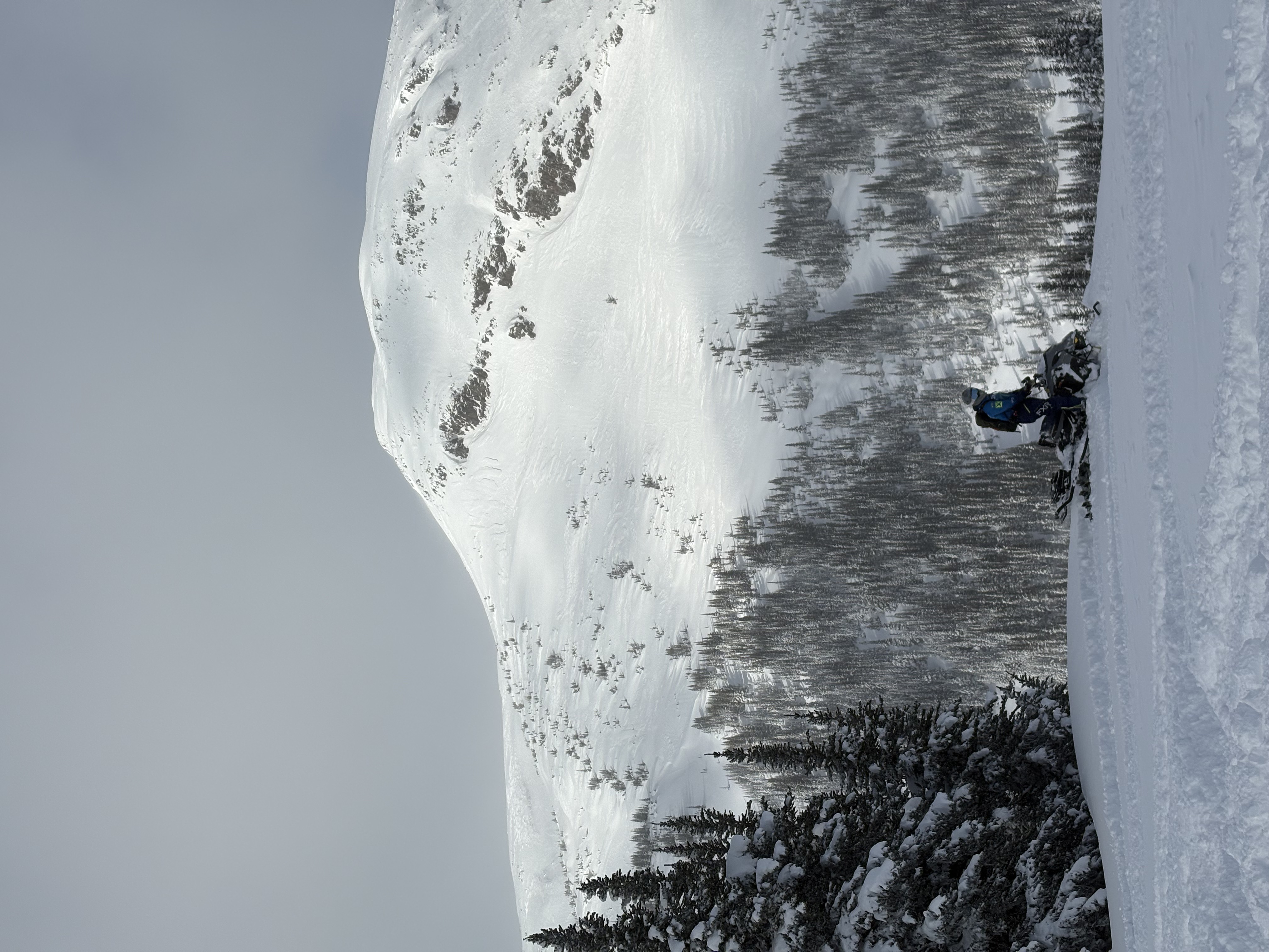 Observation photo