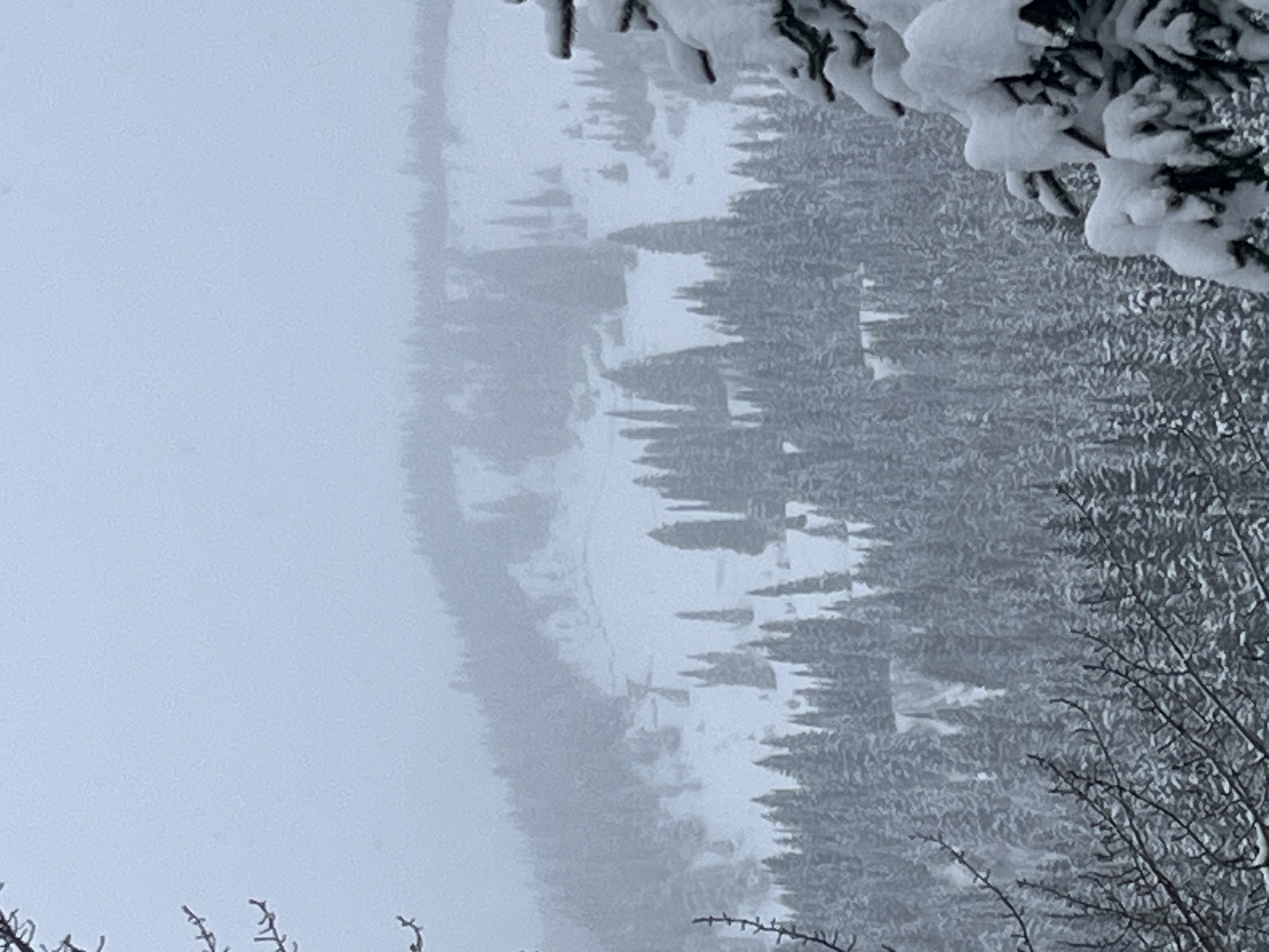 Observation photo