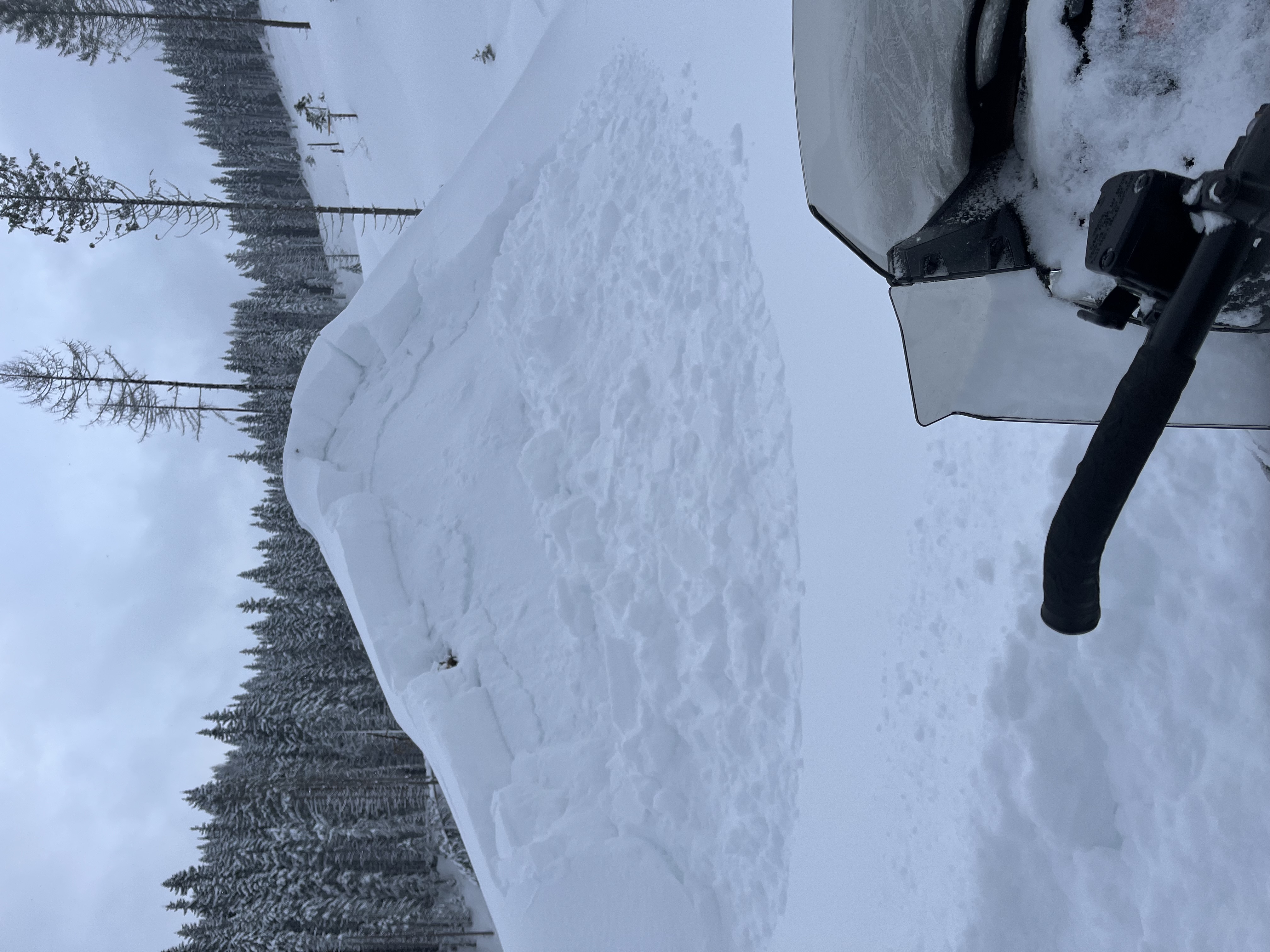 Observation photo
