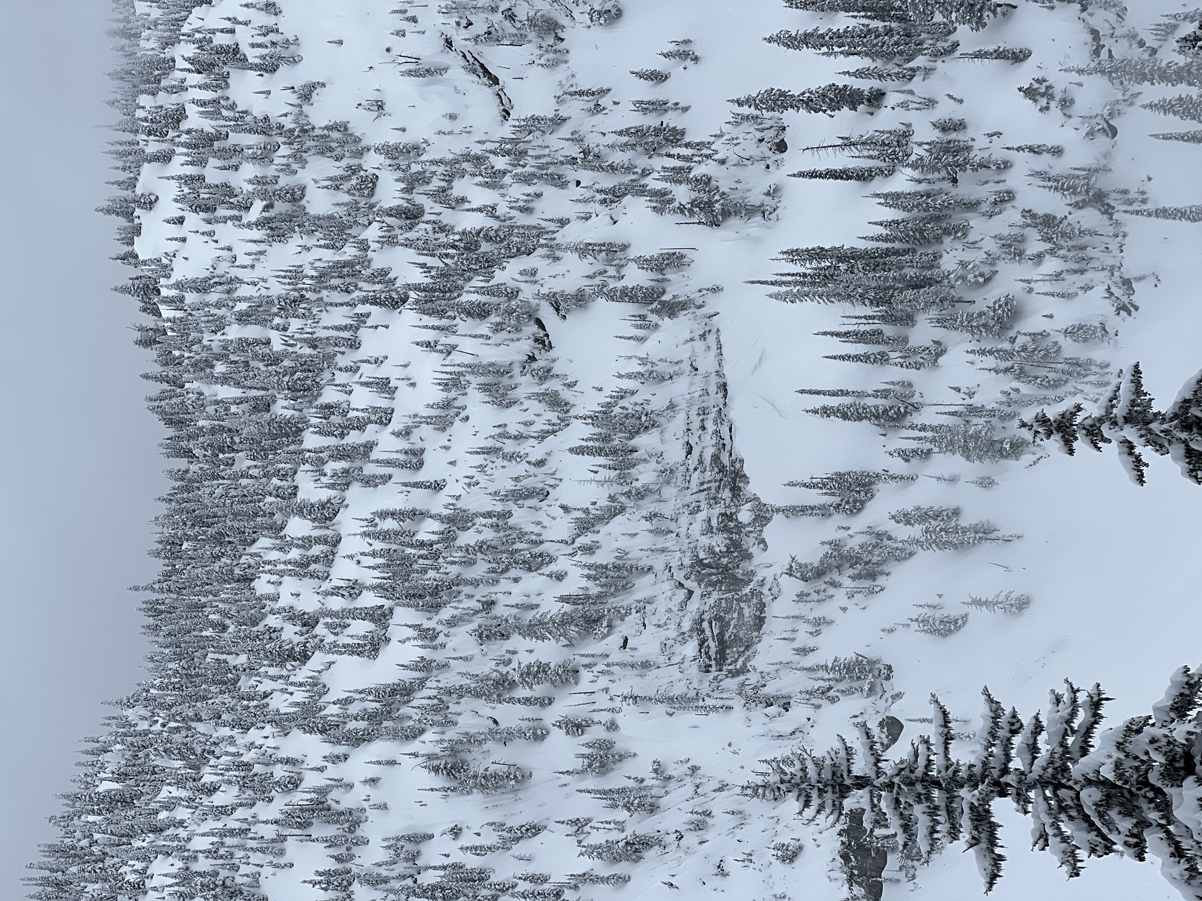 Observation photo
