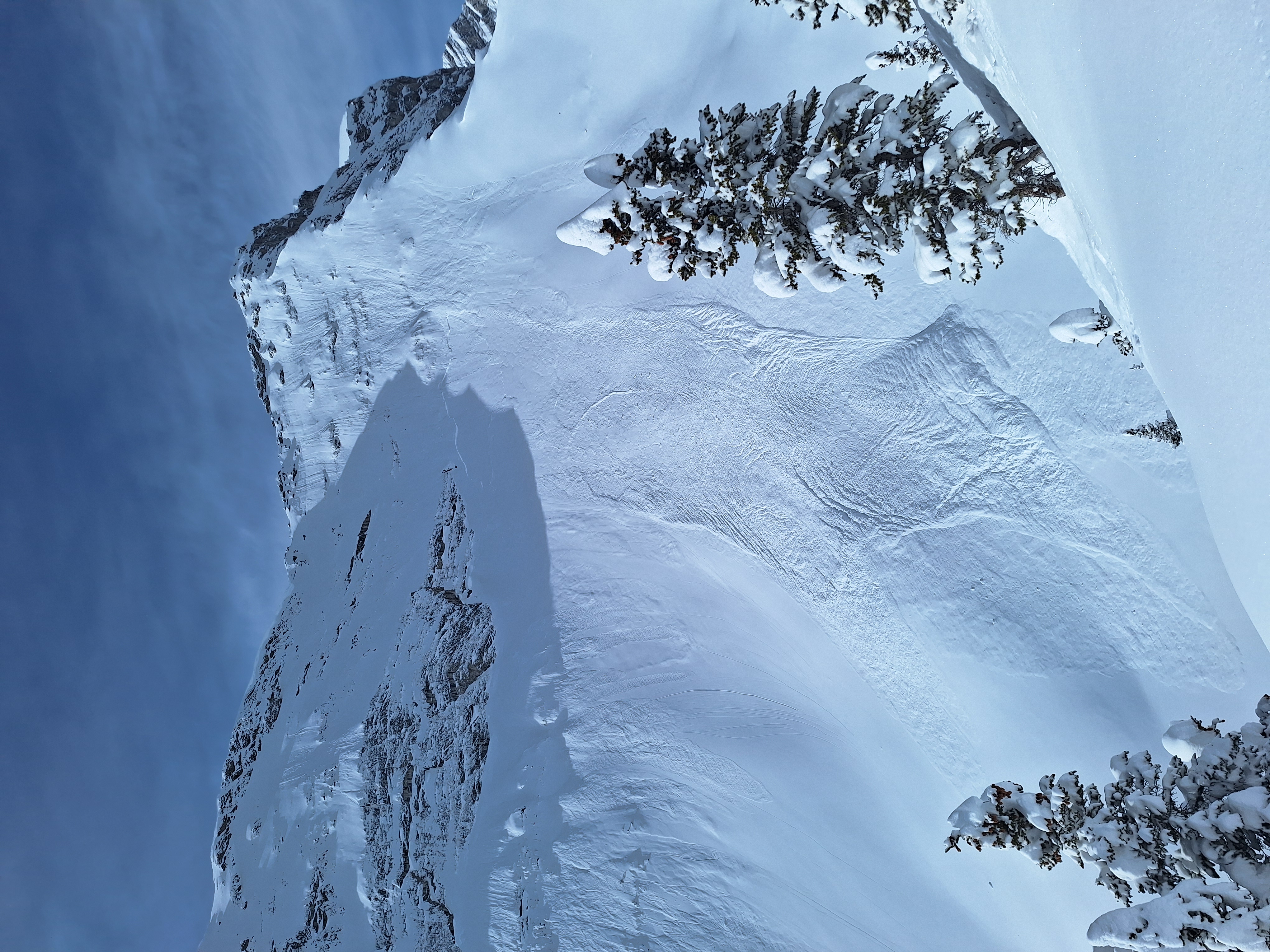 Observation photo