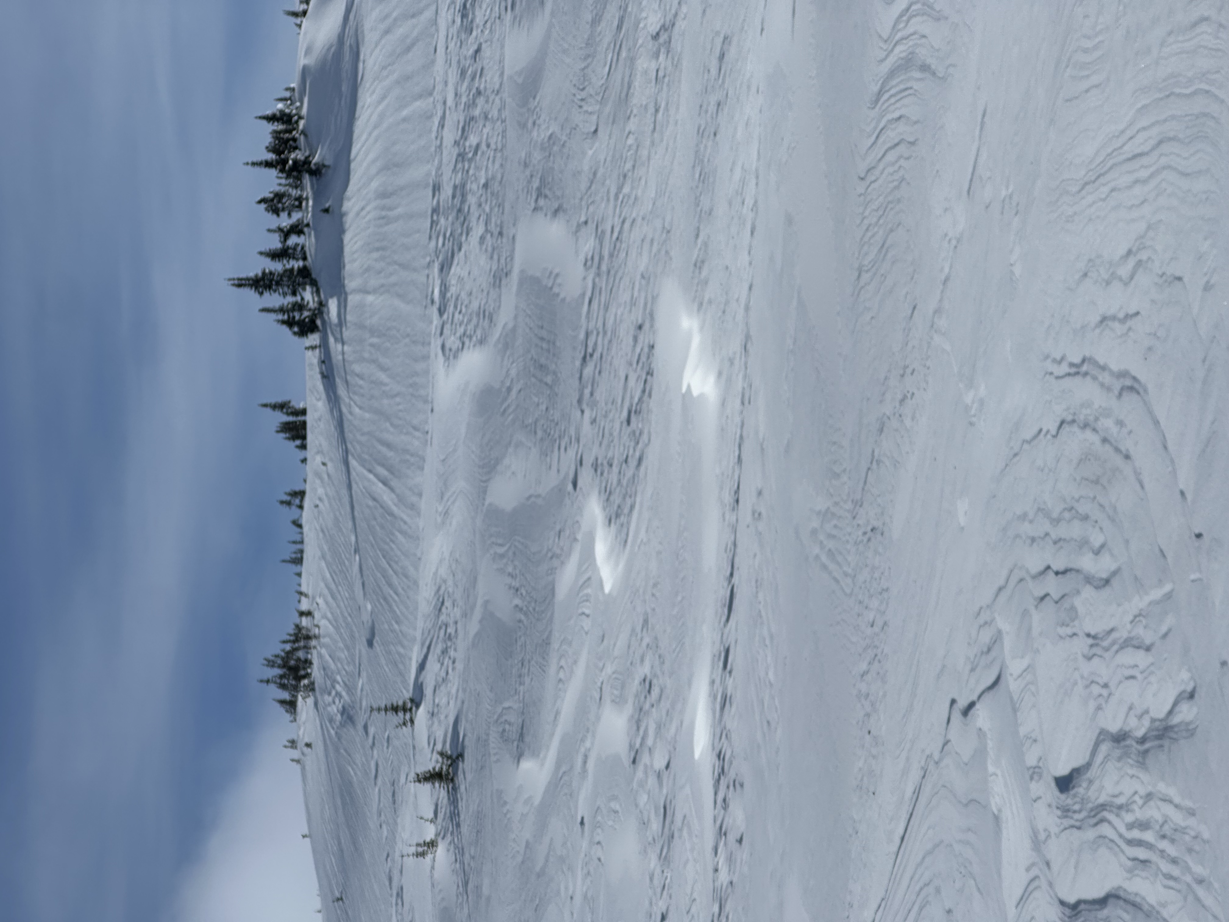 Observation photo