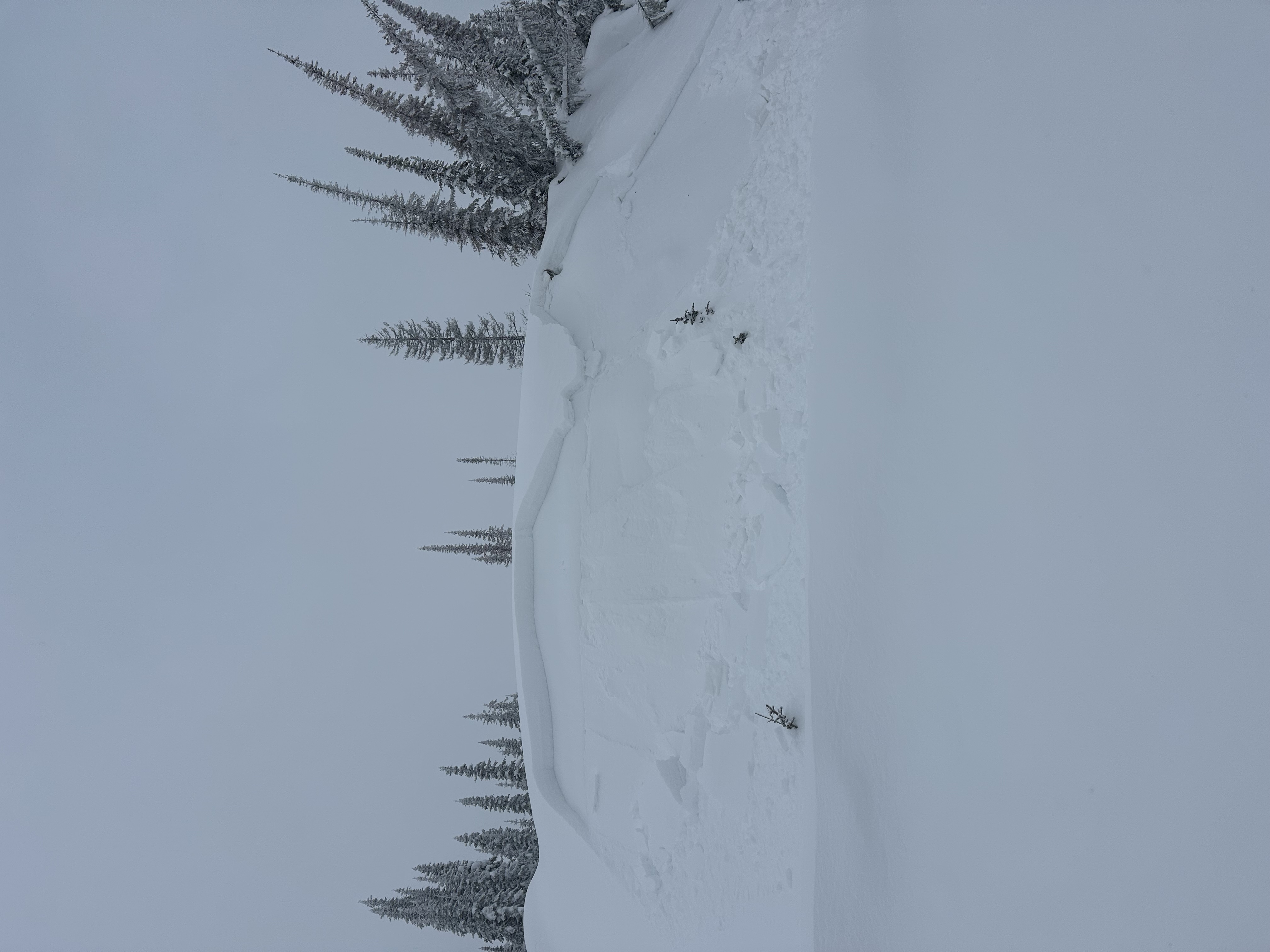 Observation photo
