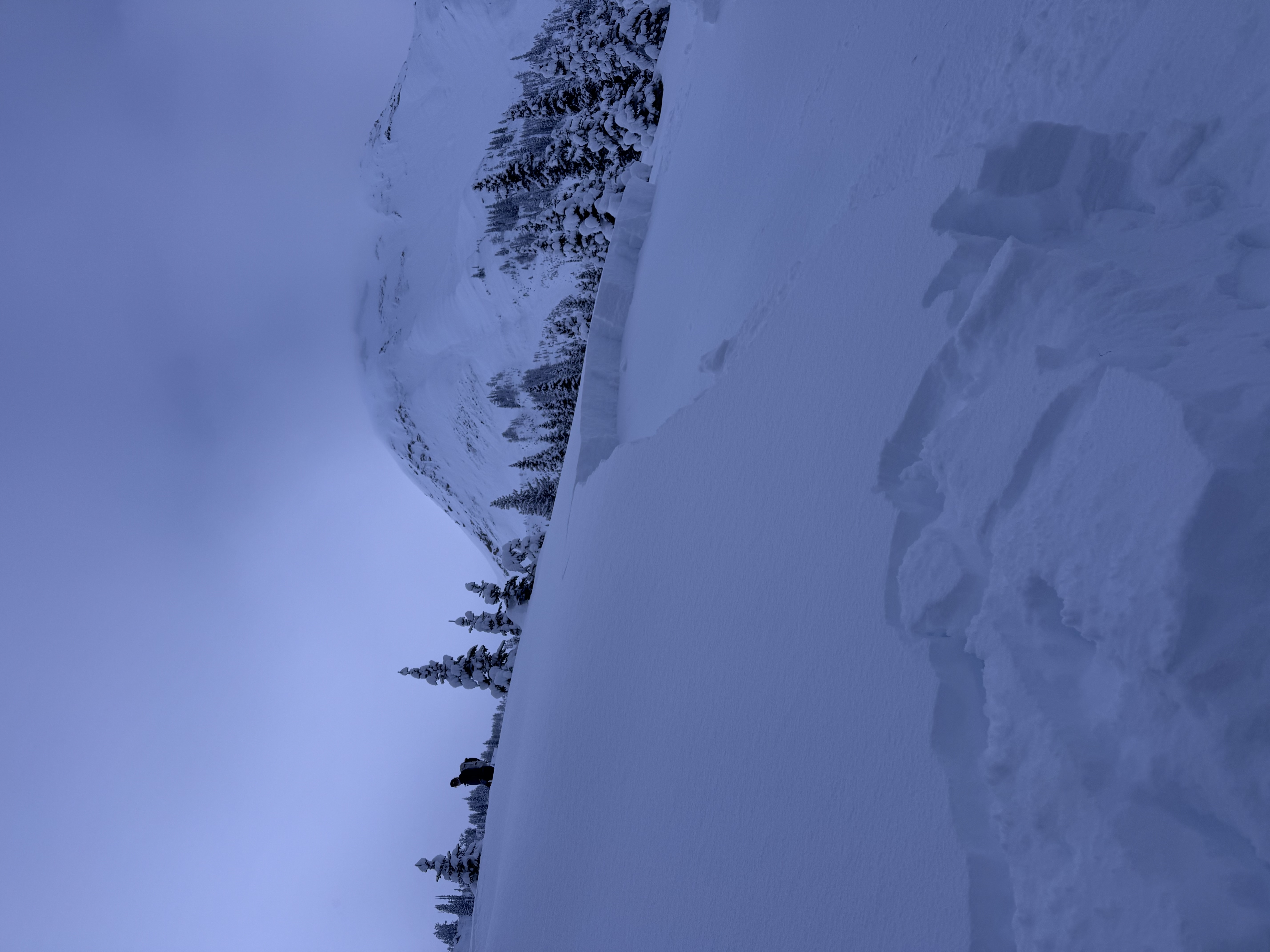 Observation photo