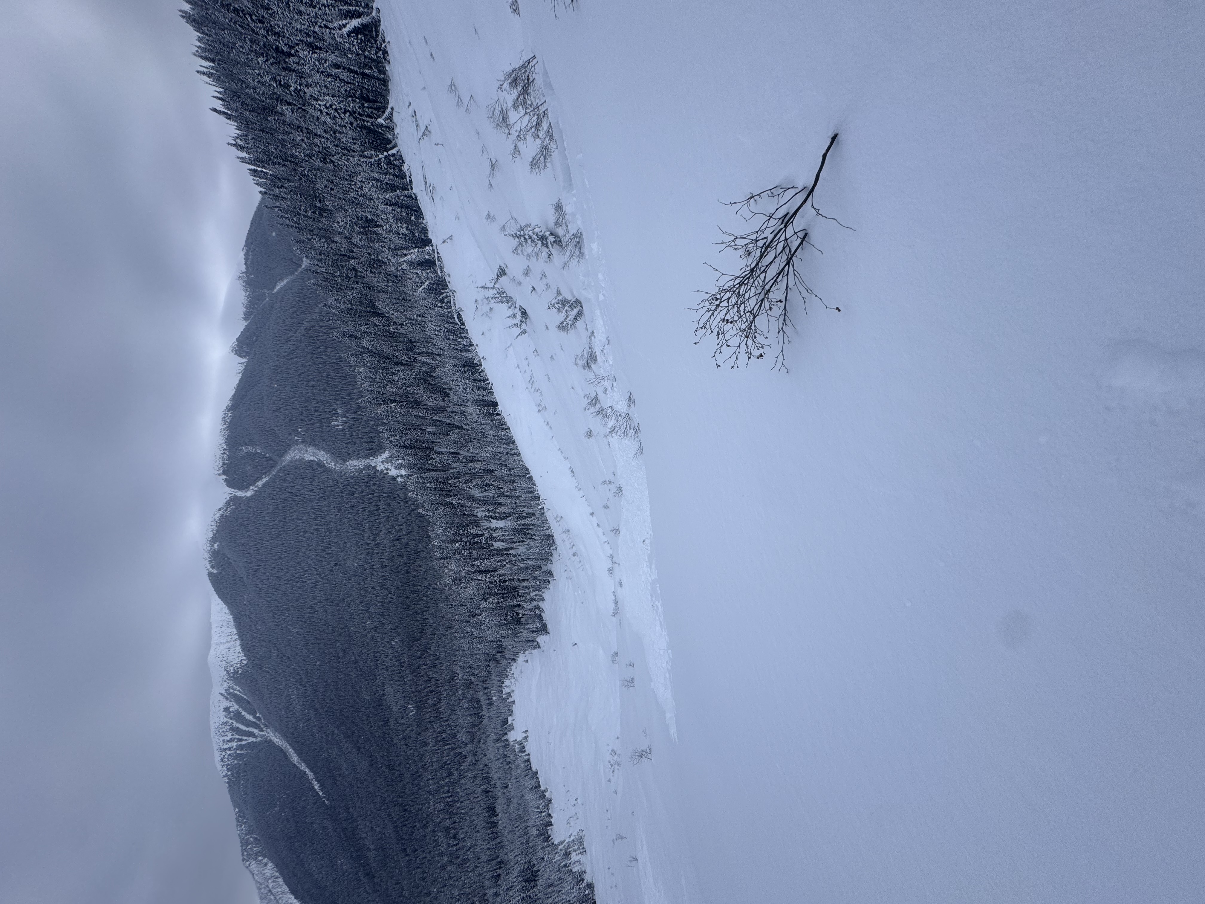 Observation photo