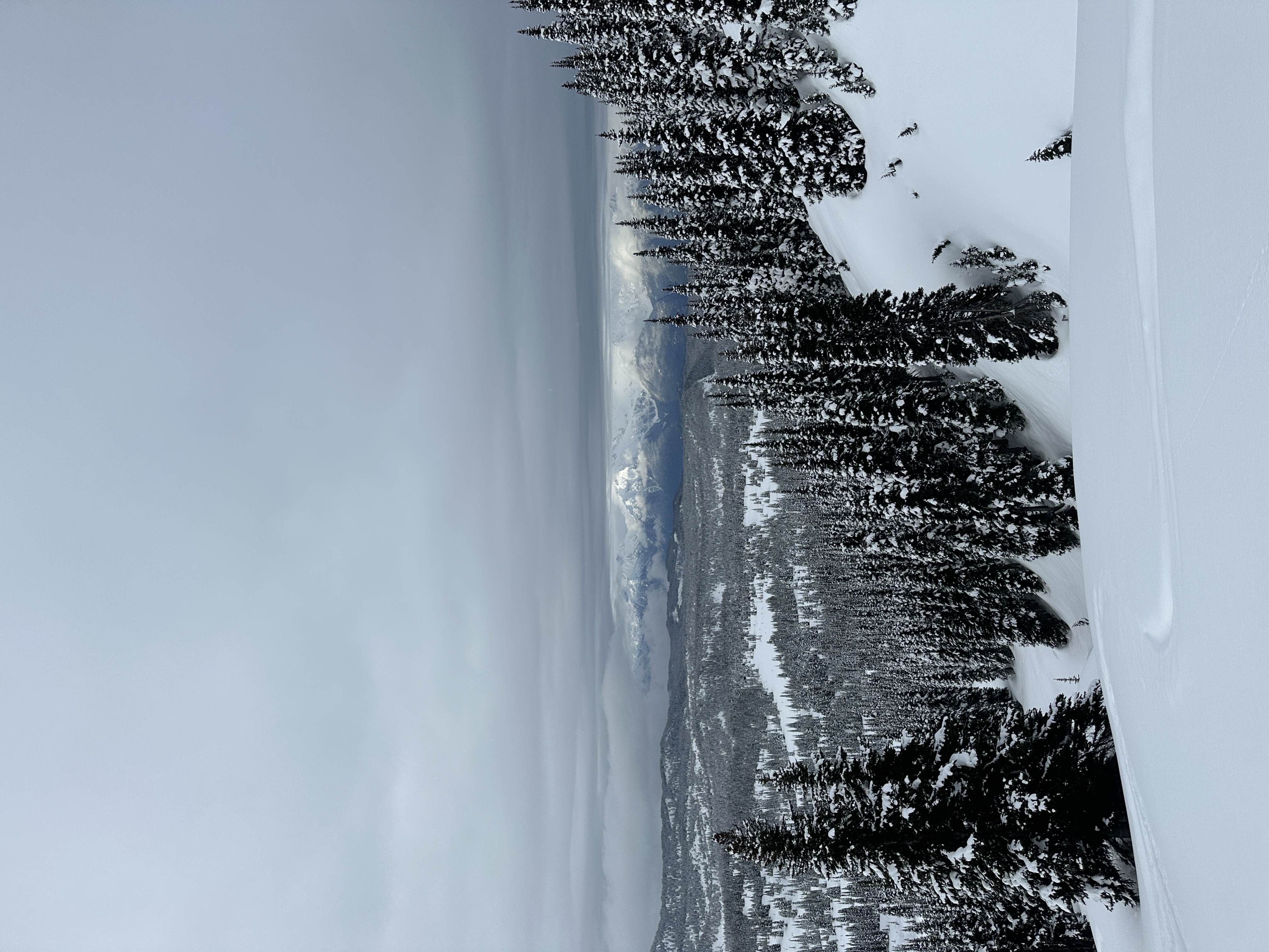 Observation photo