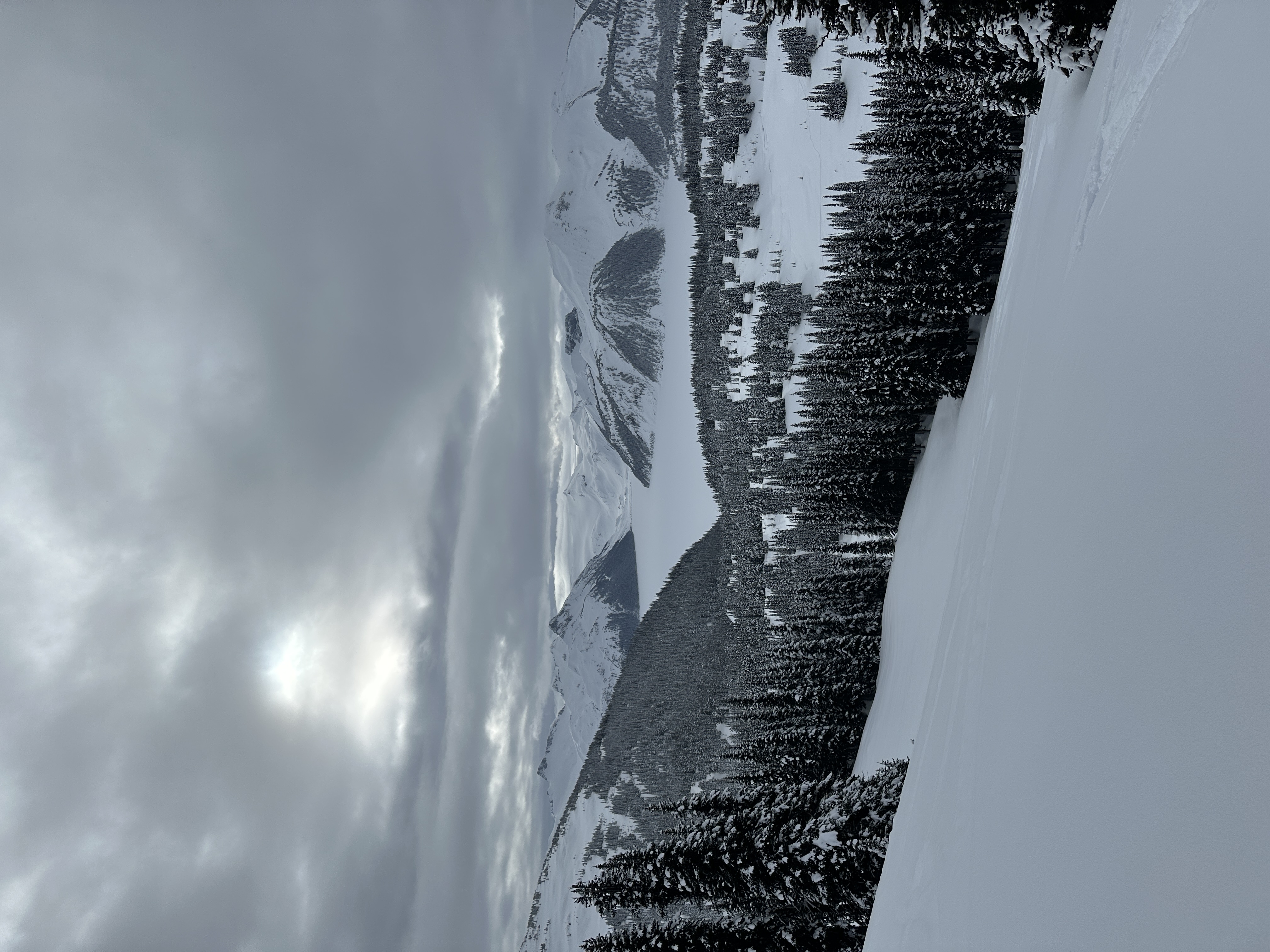Observation photo