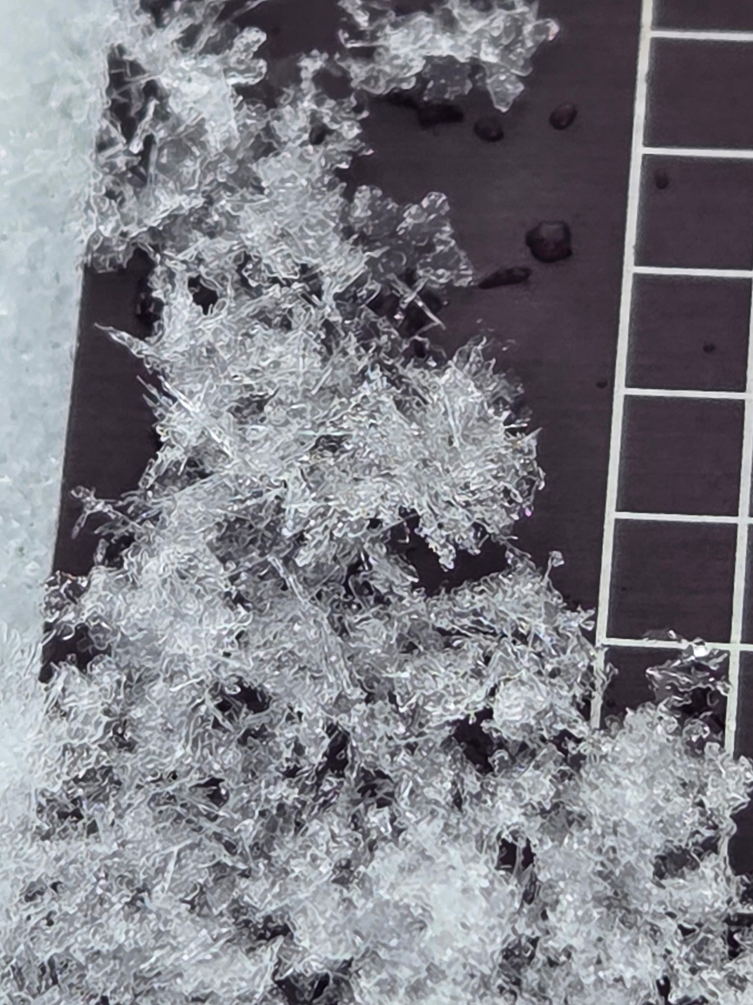 Observation photo