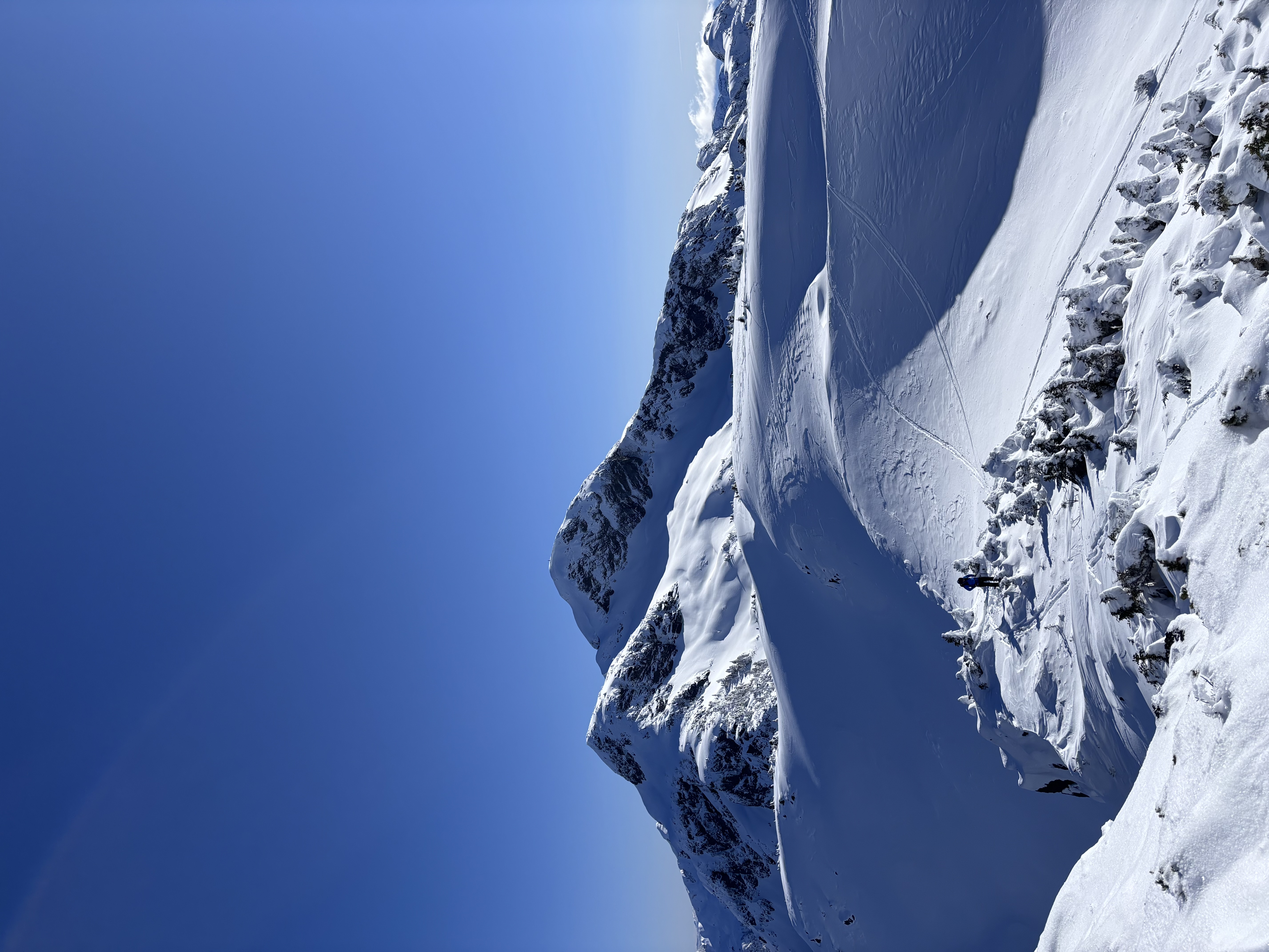 Observation photo