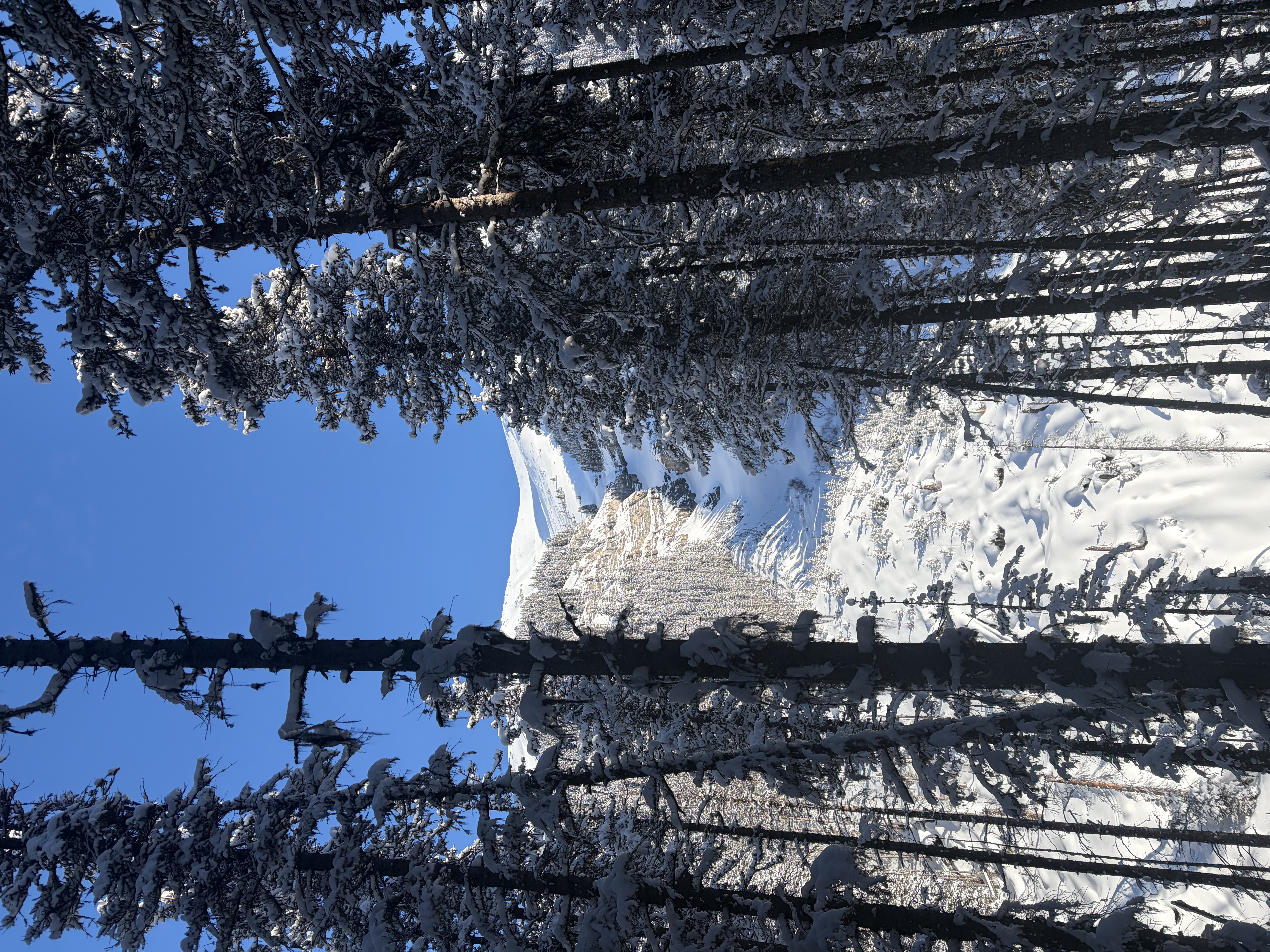 Observation photo