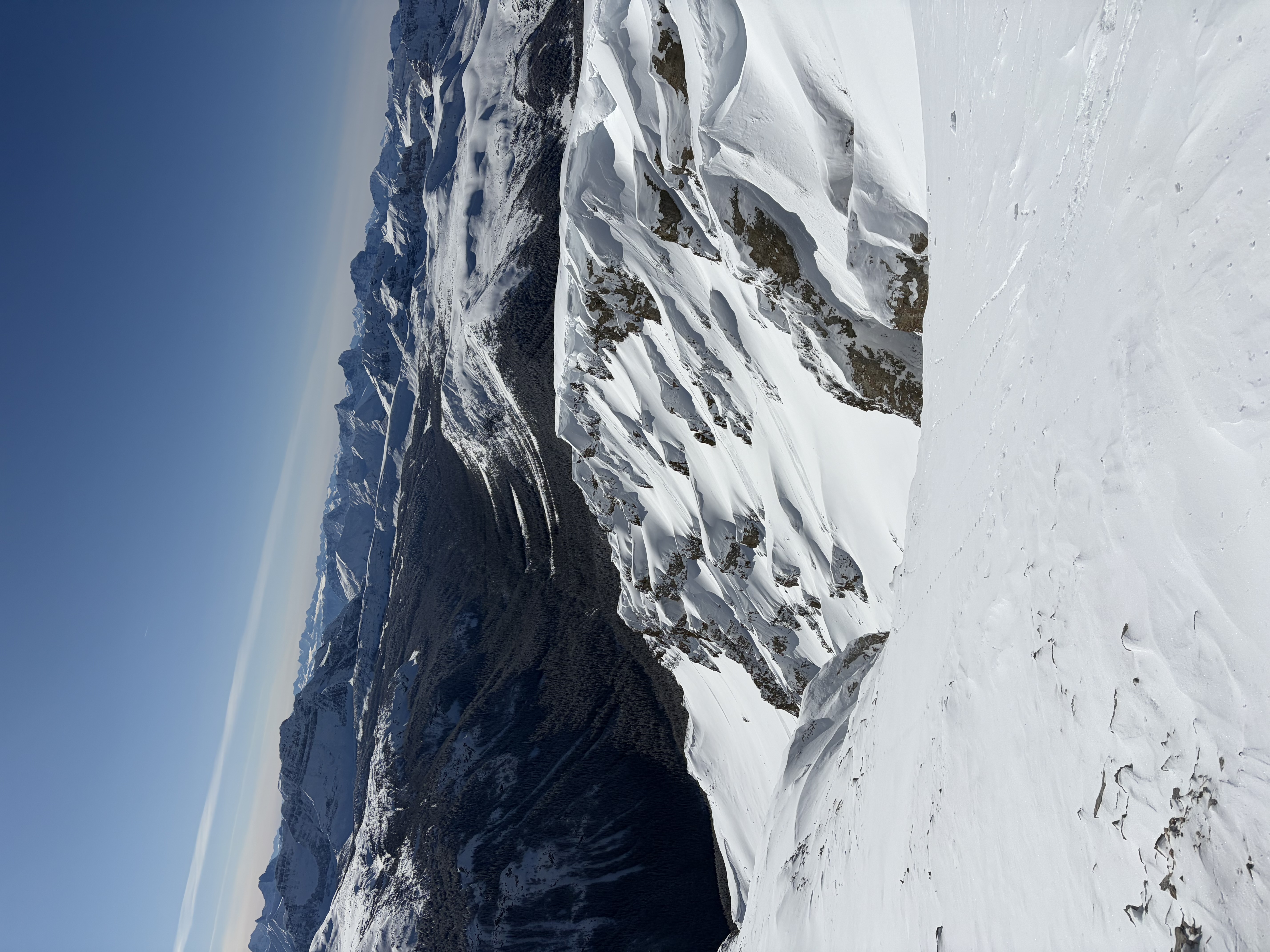 Observation photo