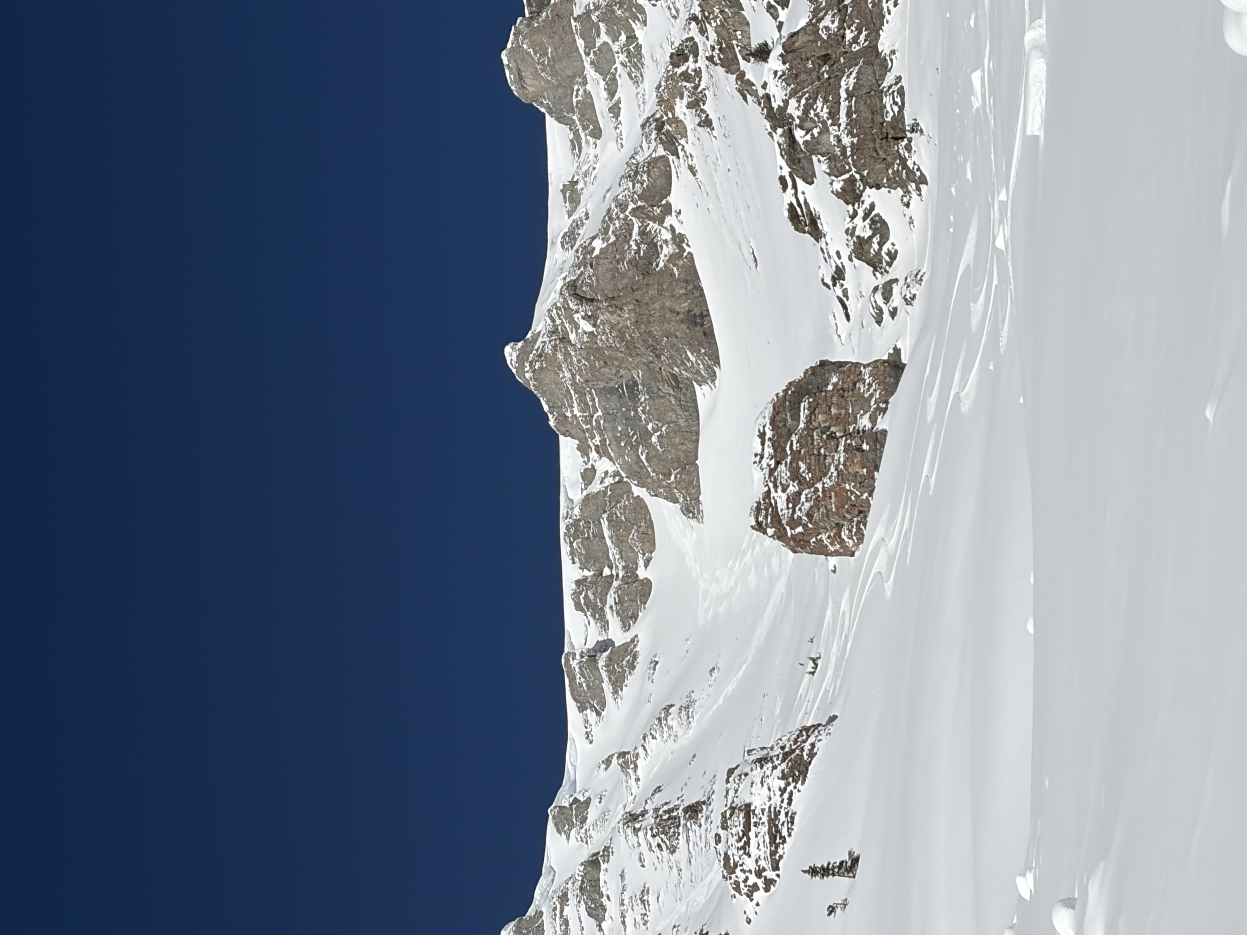 Observation photo