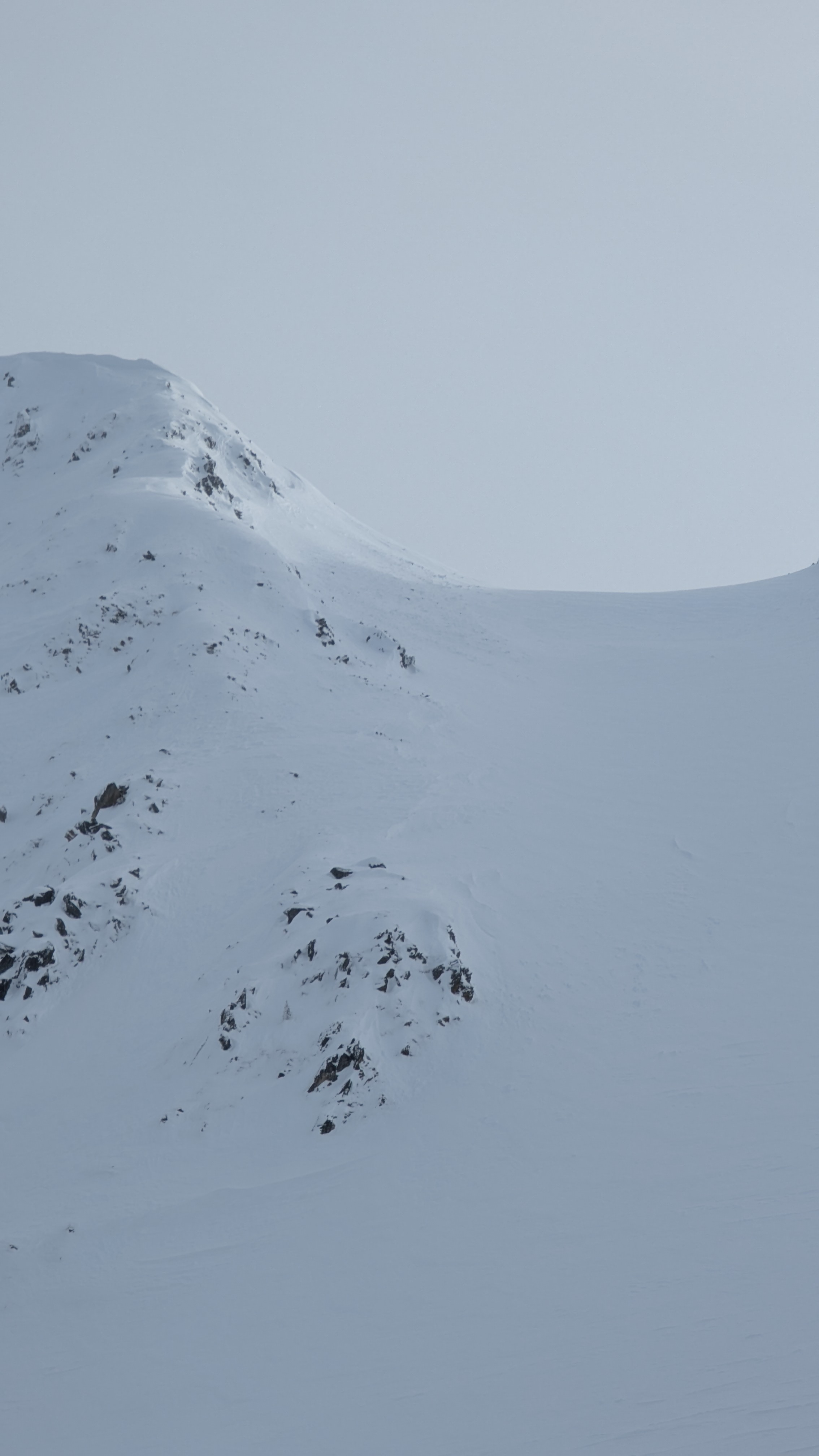 Observation photo