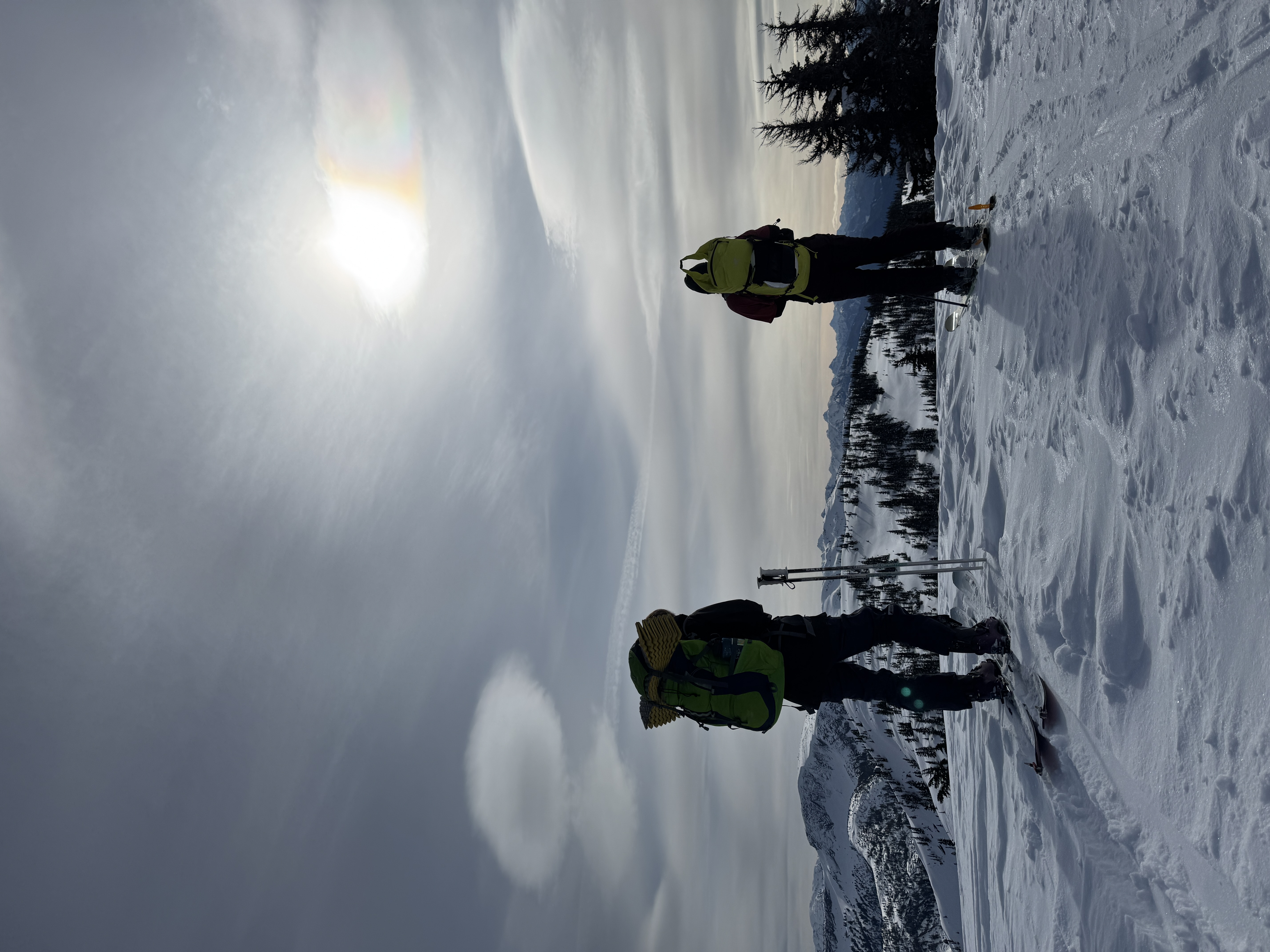 Observation photo