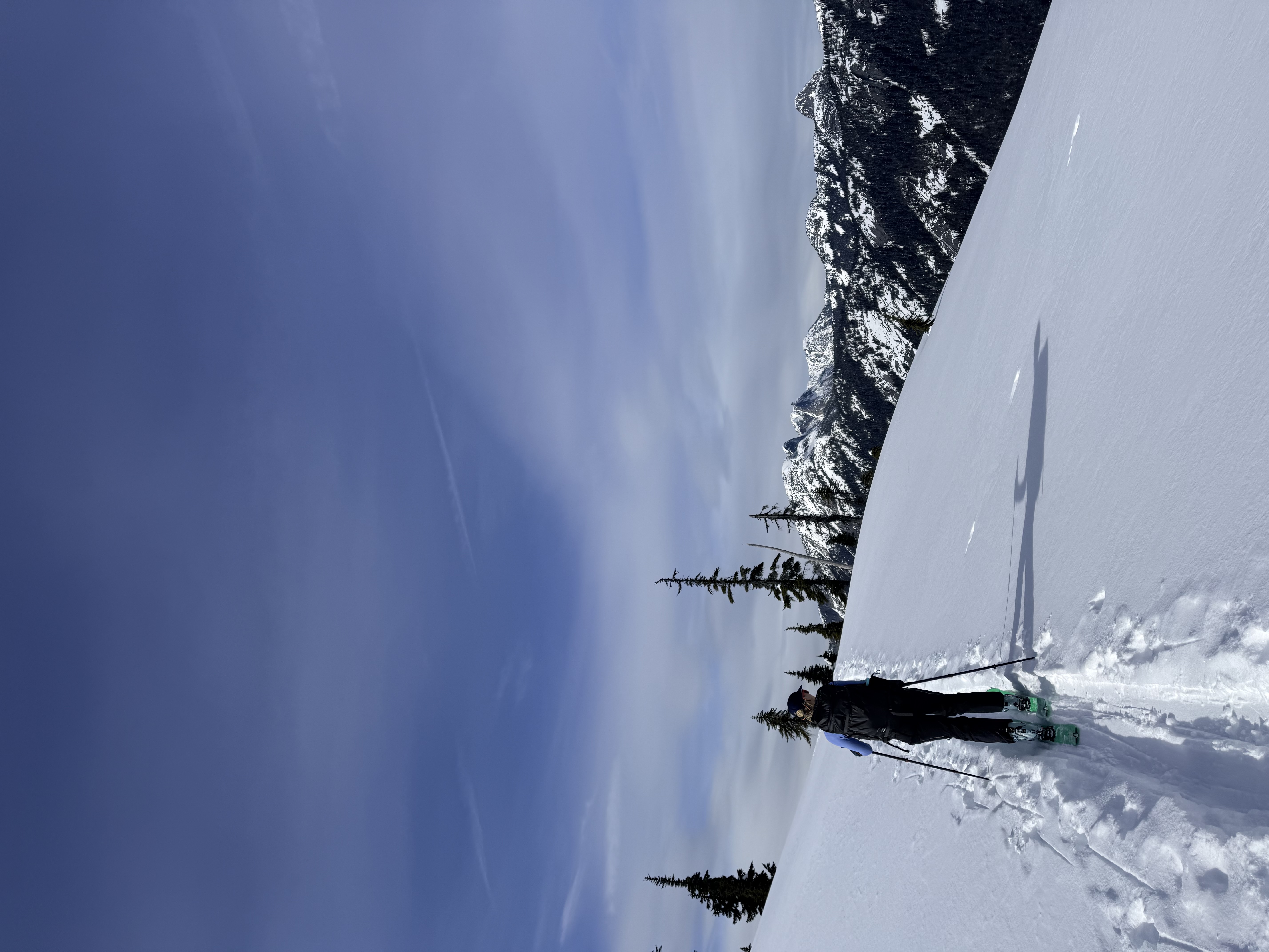 Observation photo