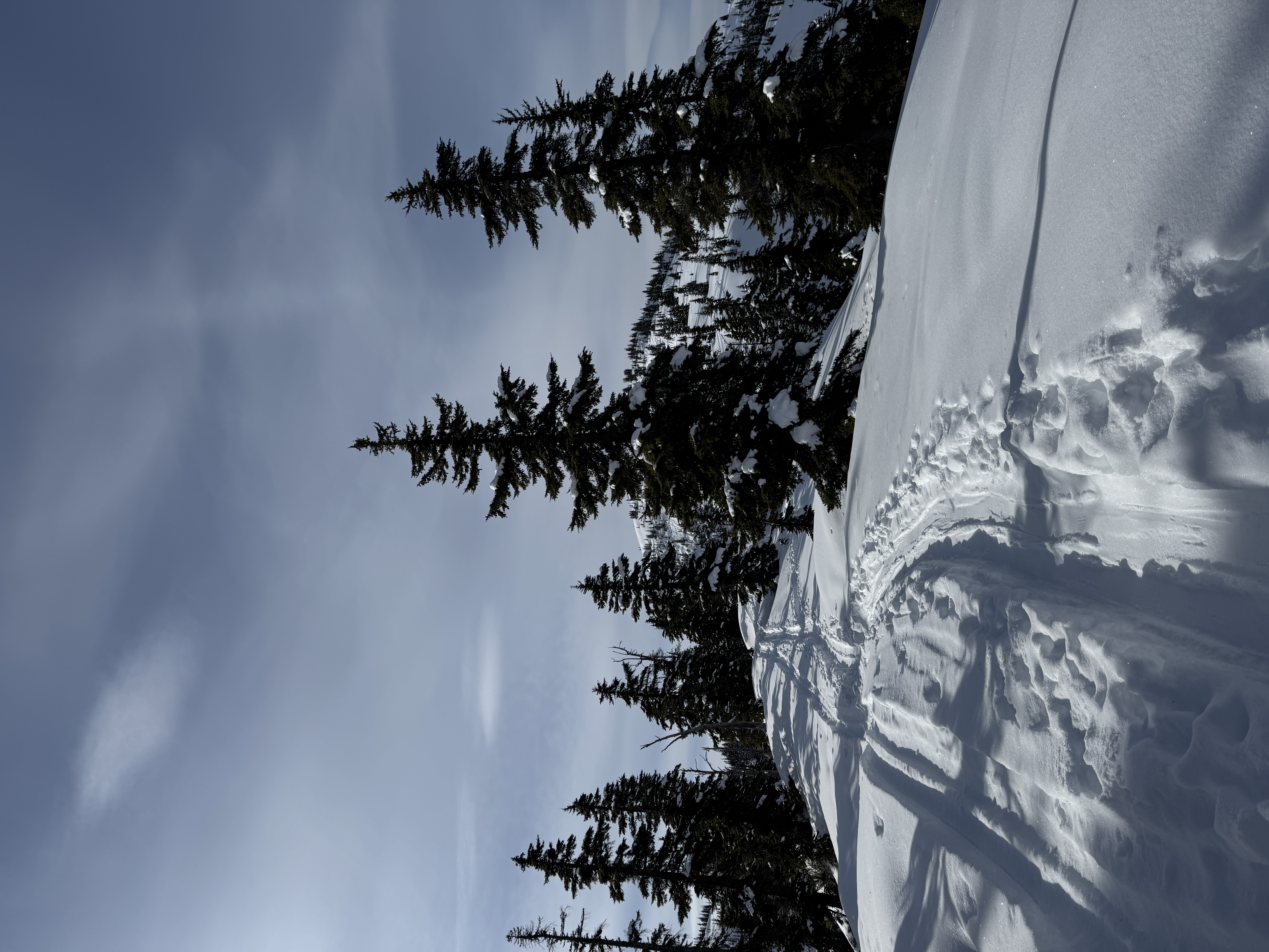 Observation photo