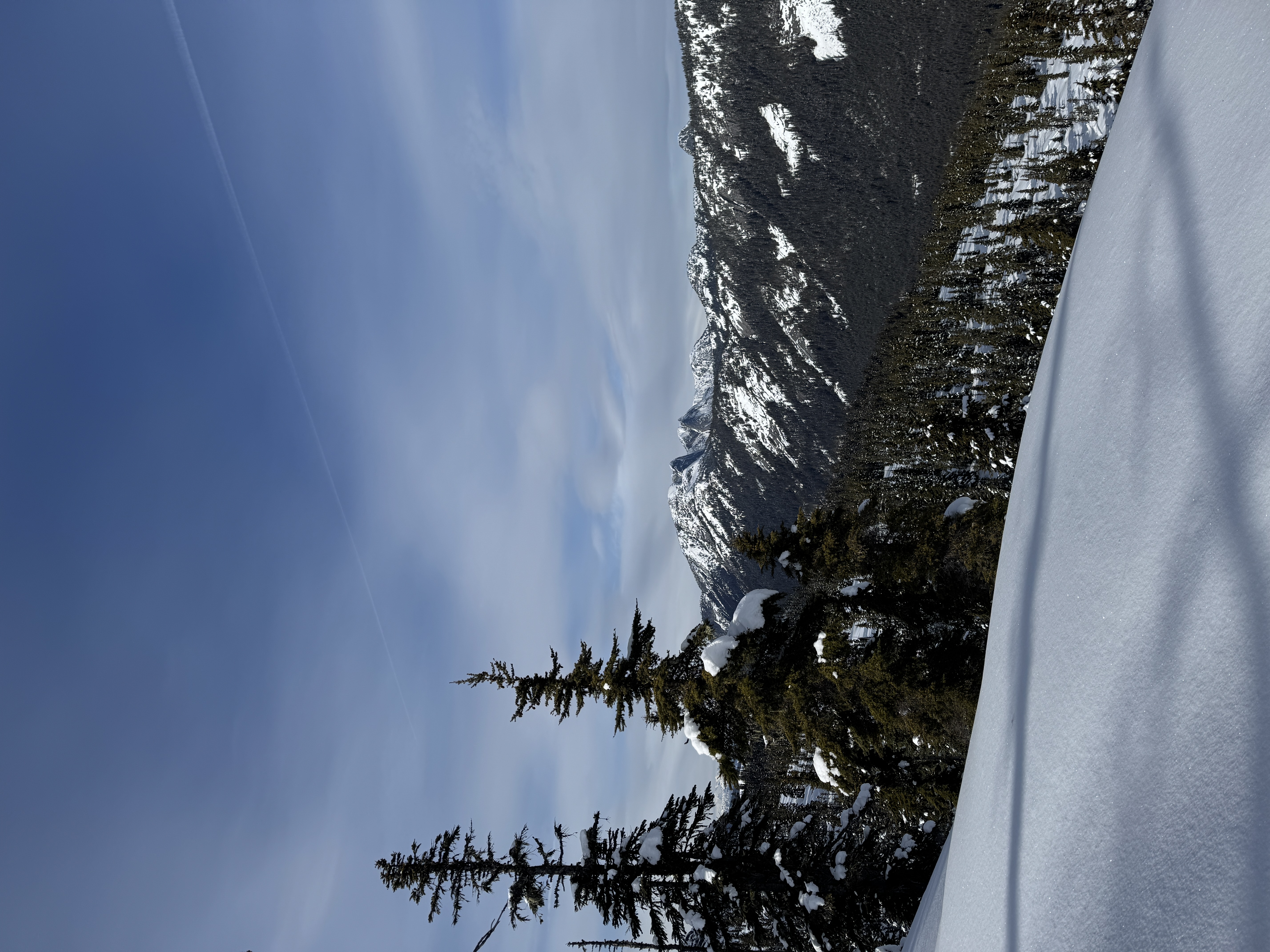 Observation photo