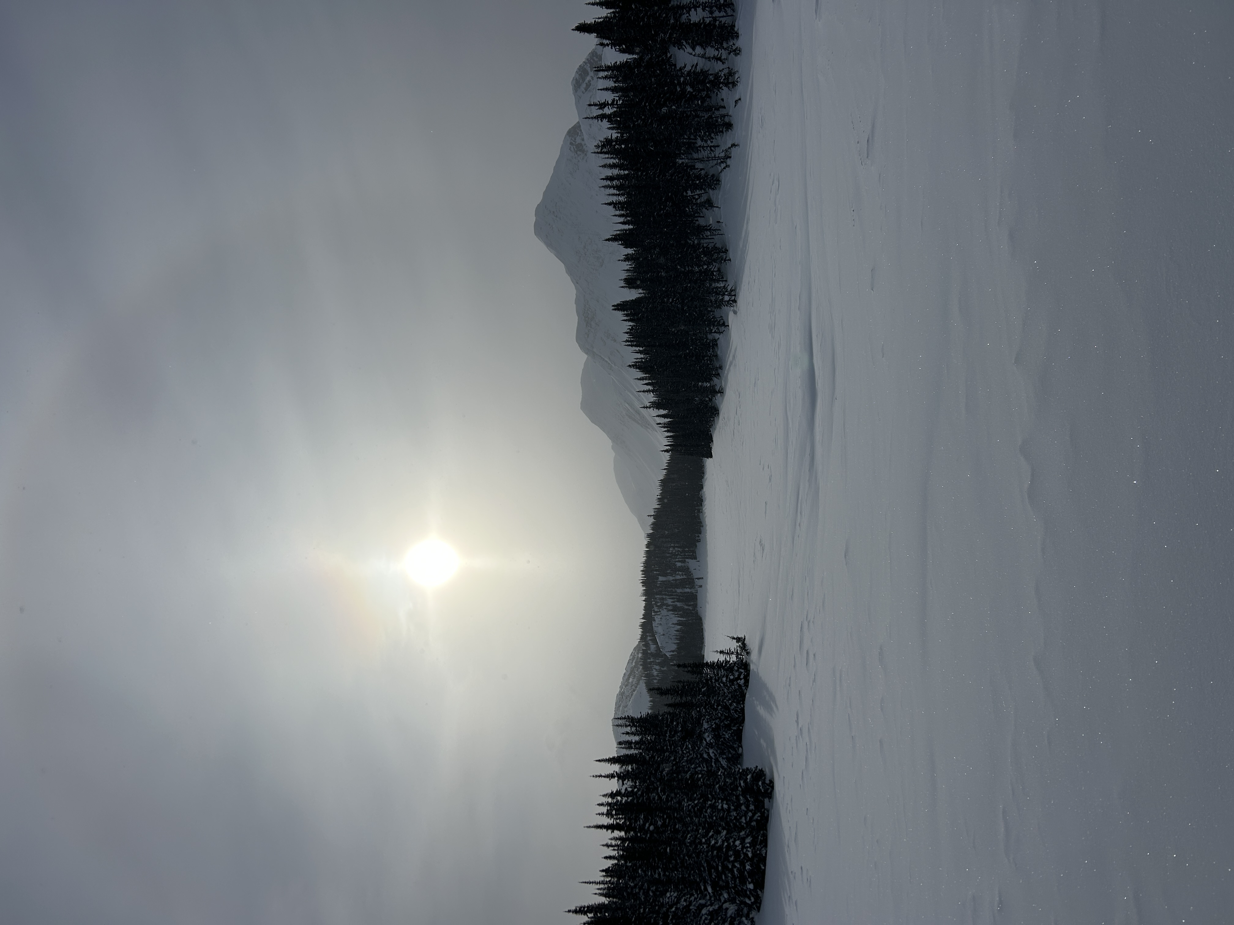 Observation photo