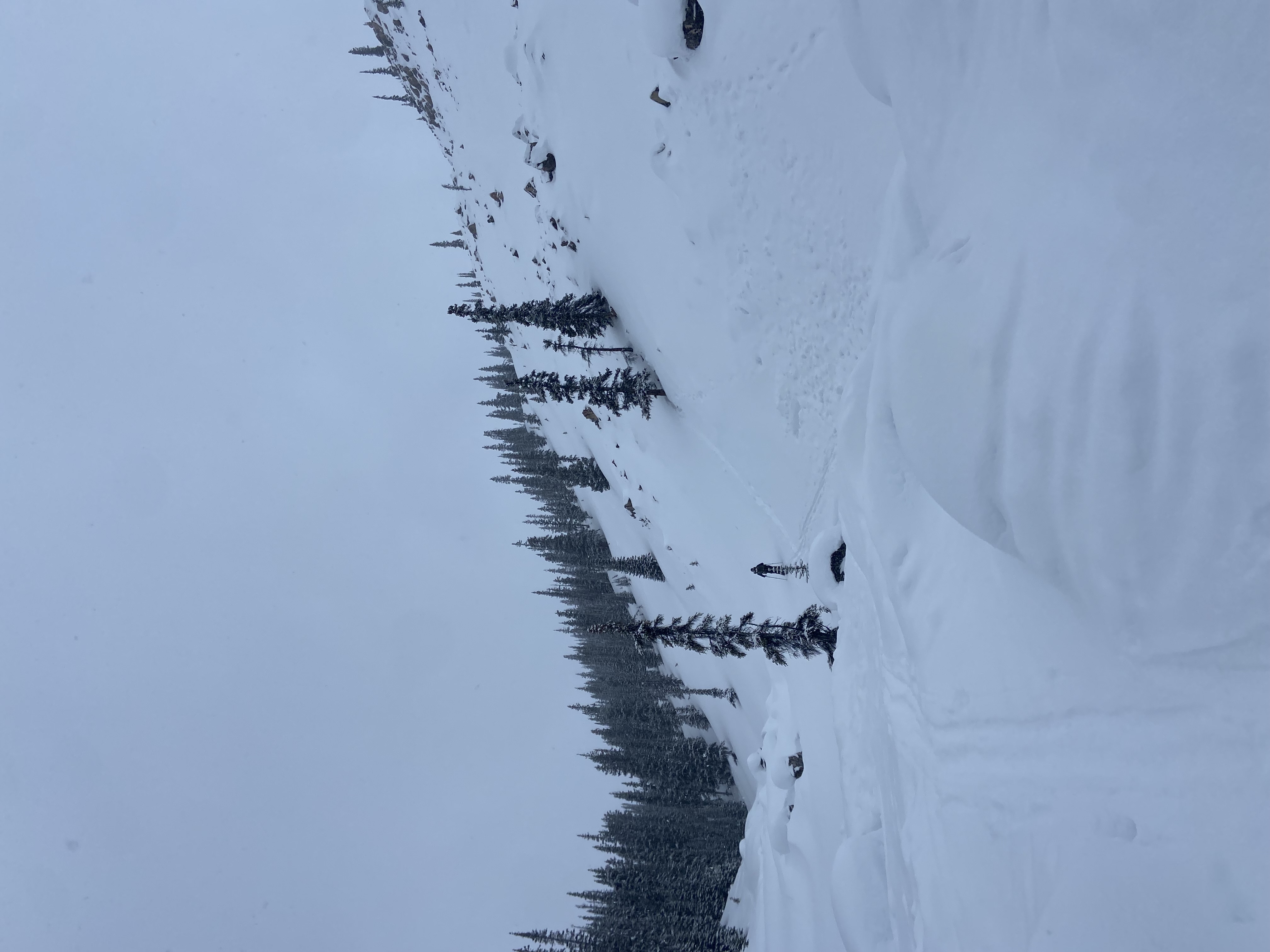 Observation photo