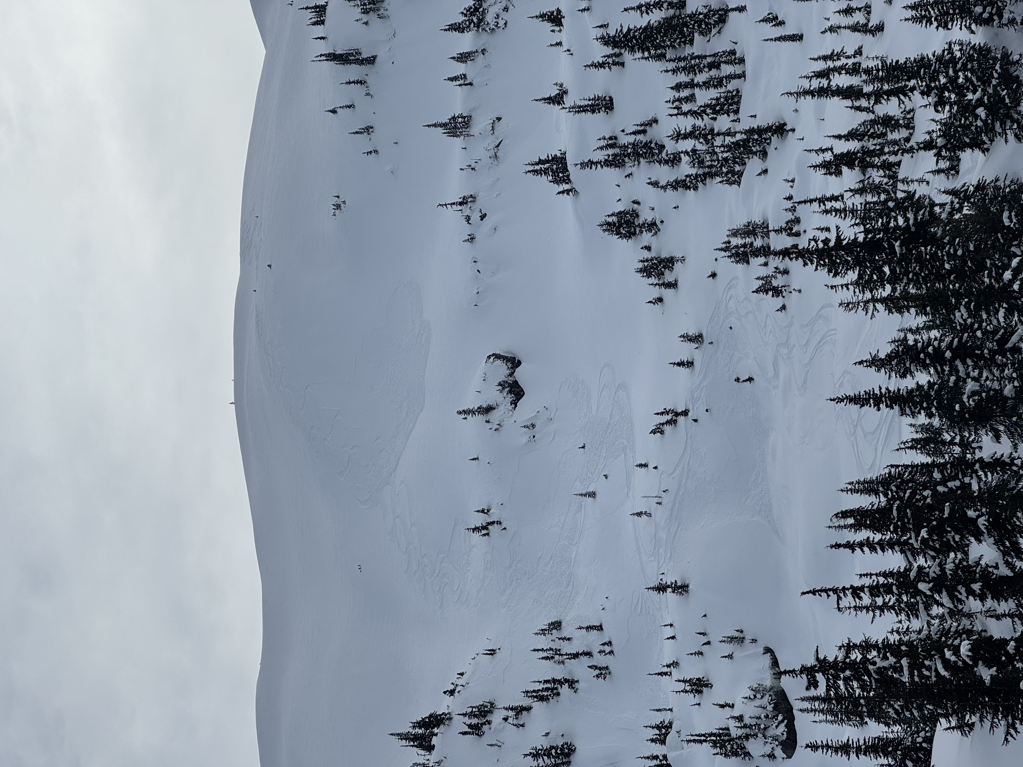 Observation photo