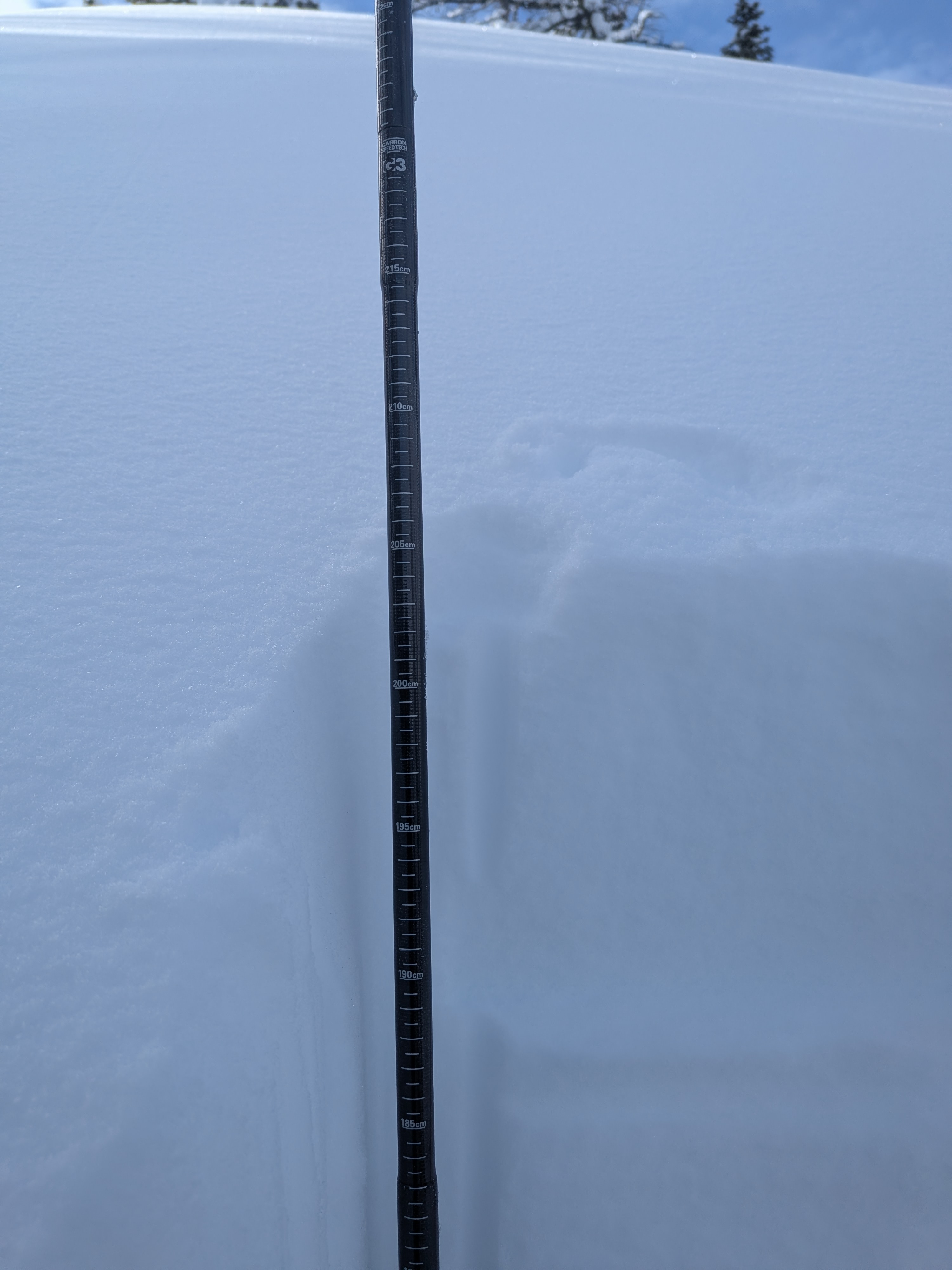 Observation photo