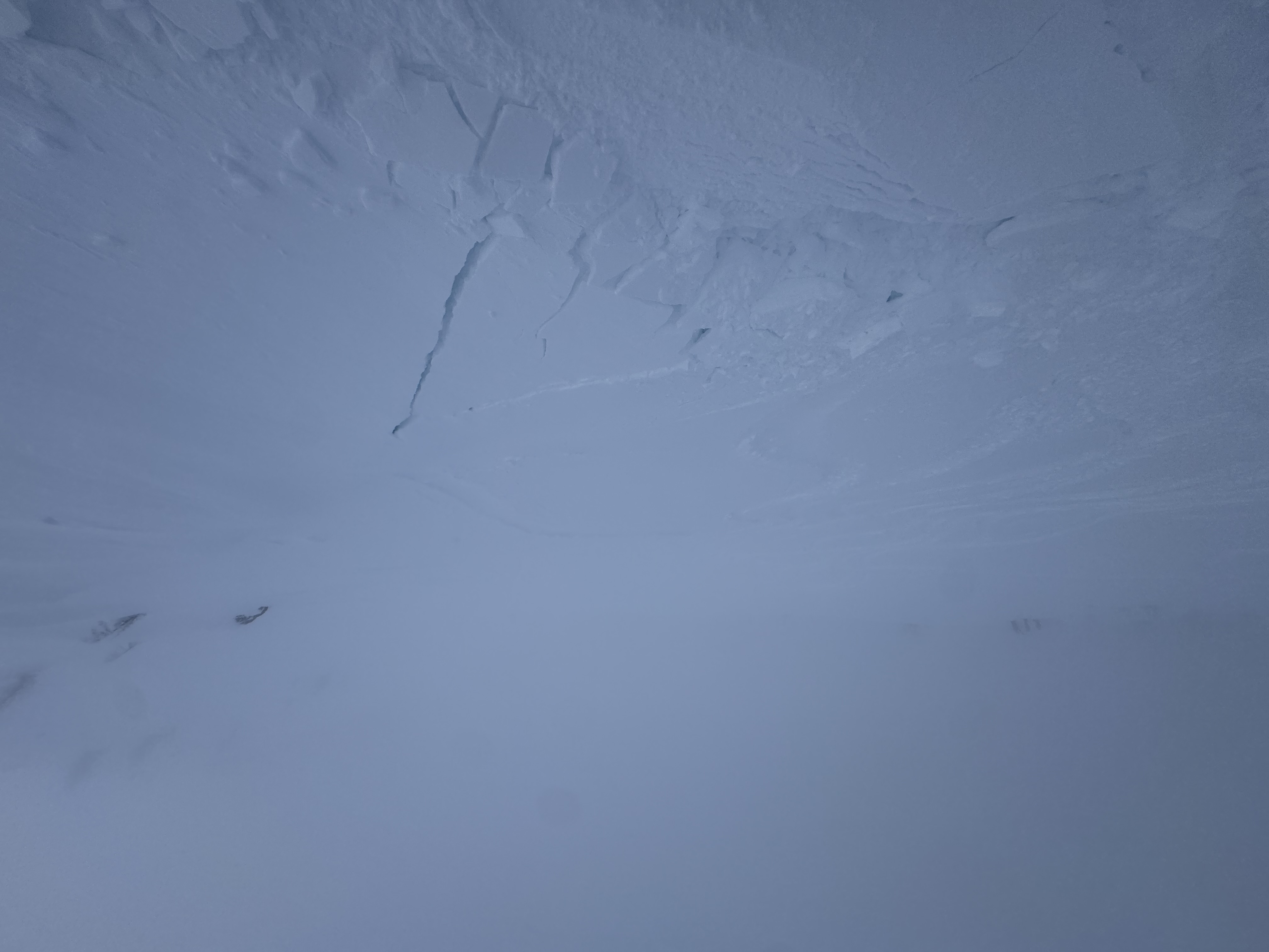 Observation photo
