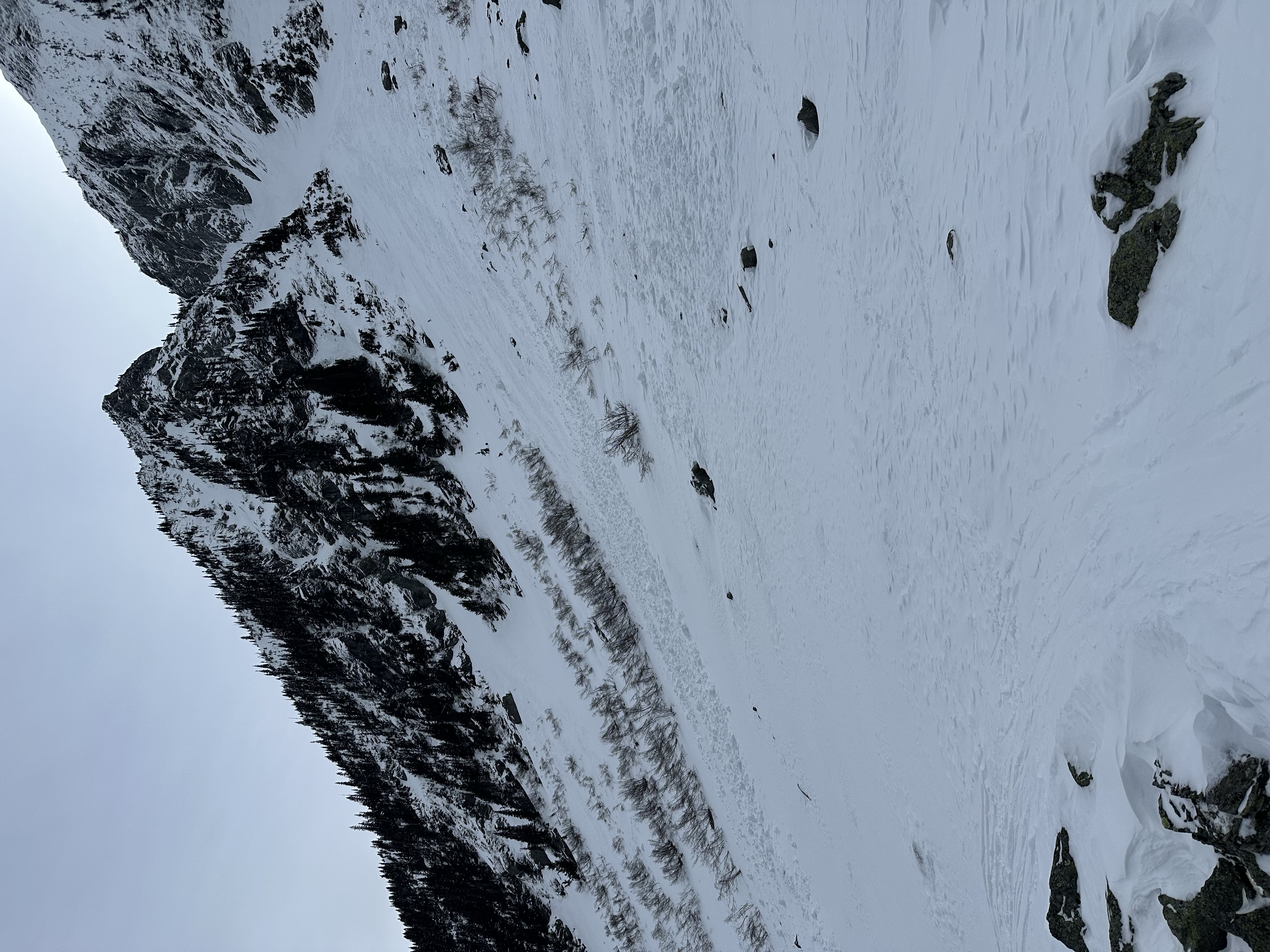 Observation photo