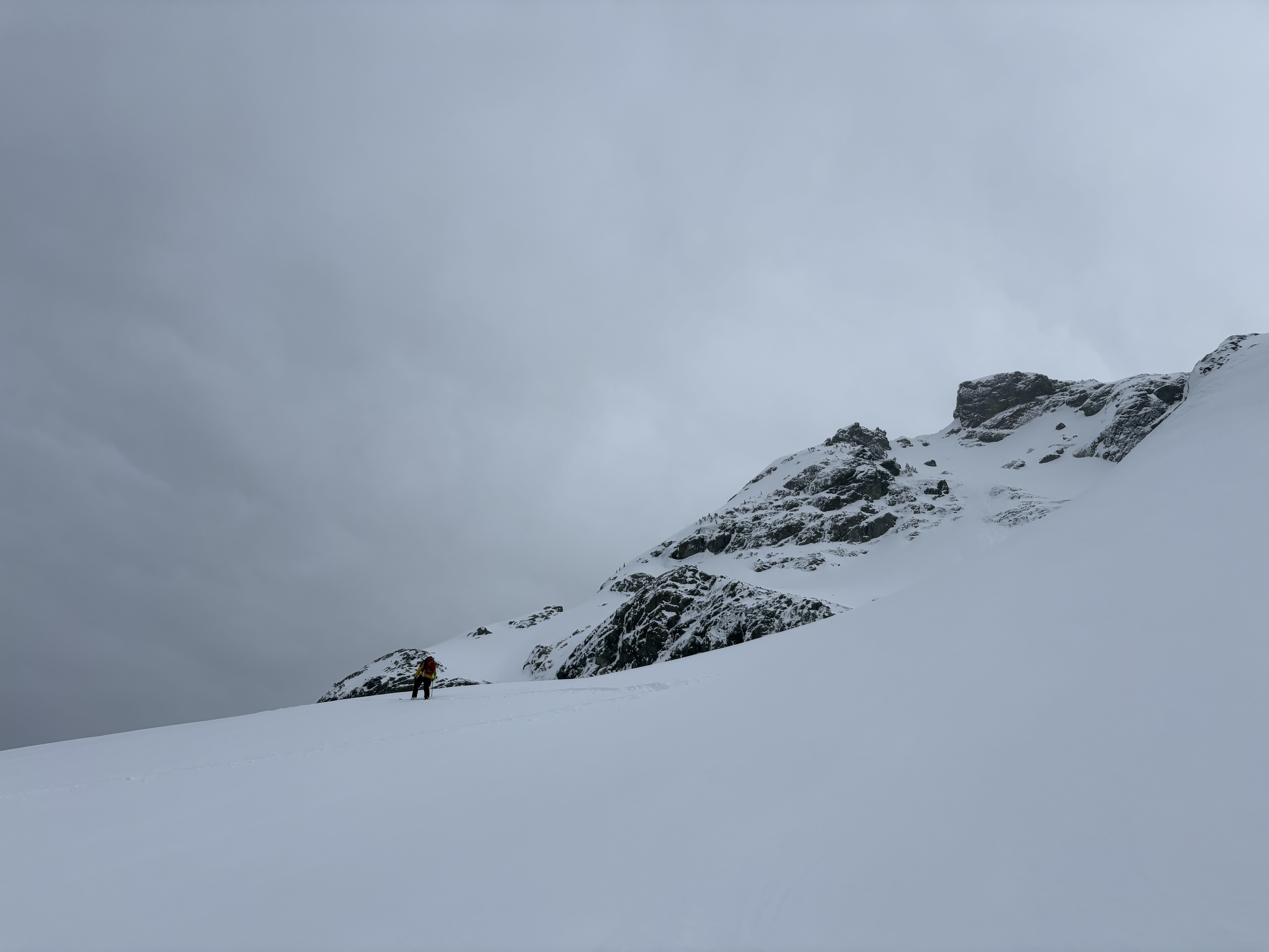 Observation photo