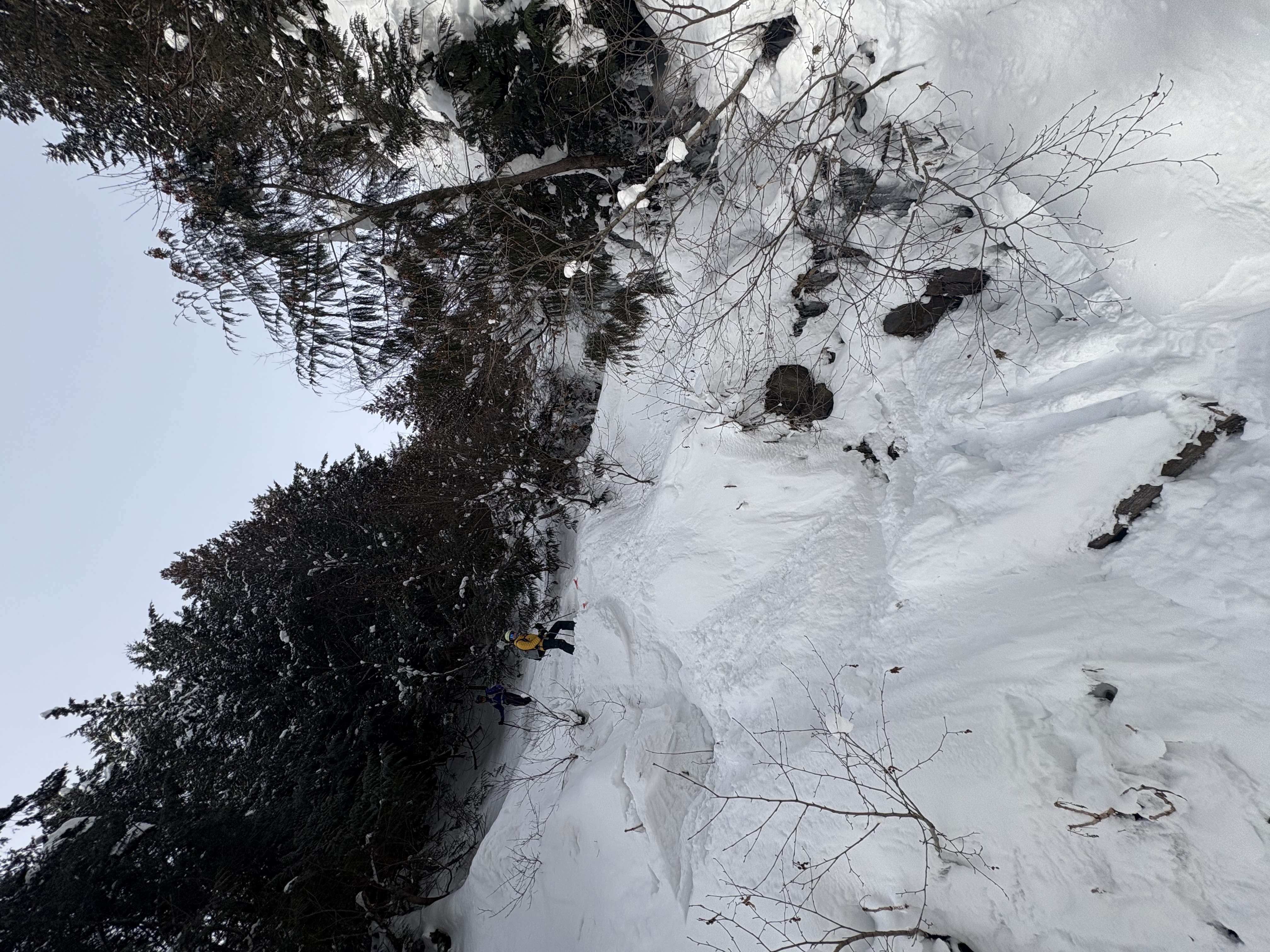 Observation photo