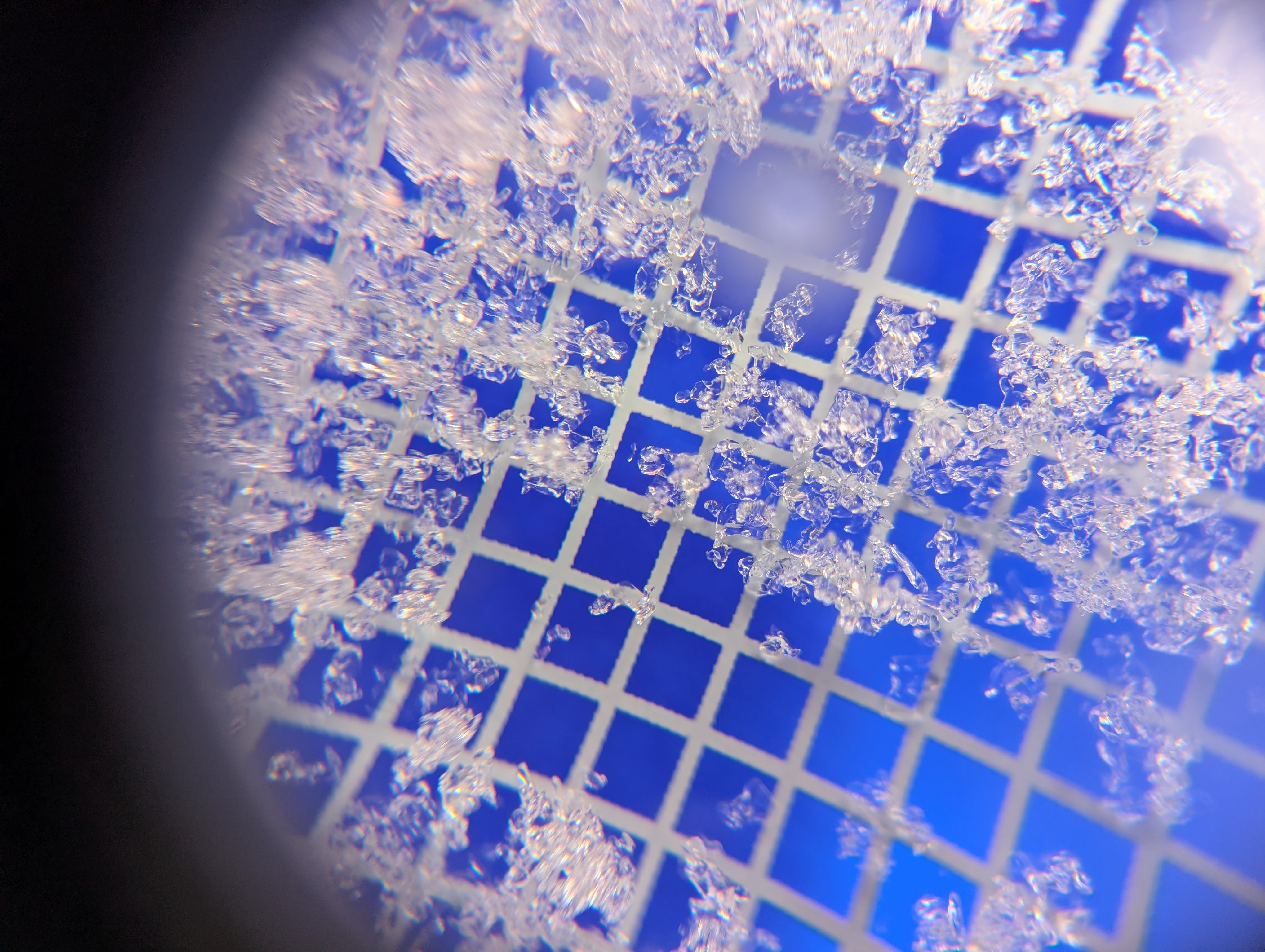 Observation photo