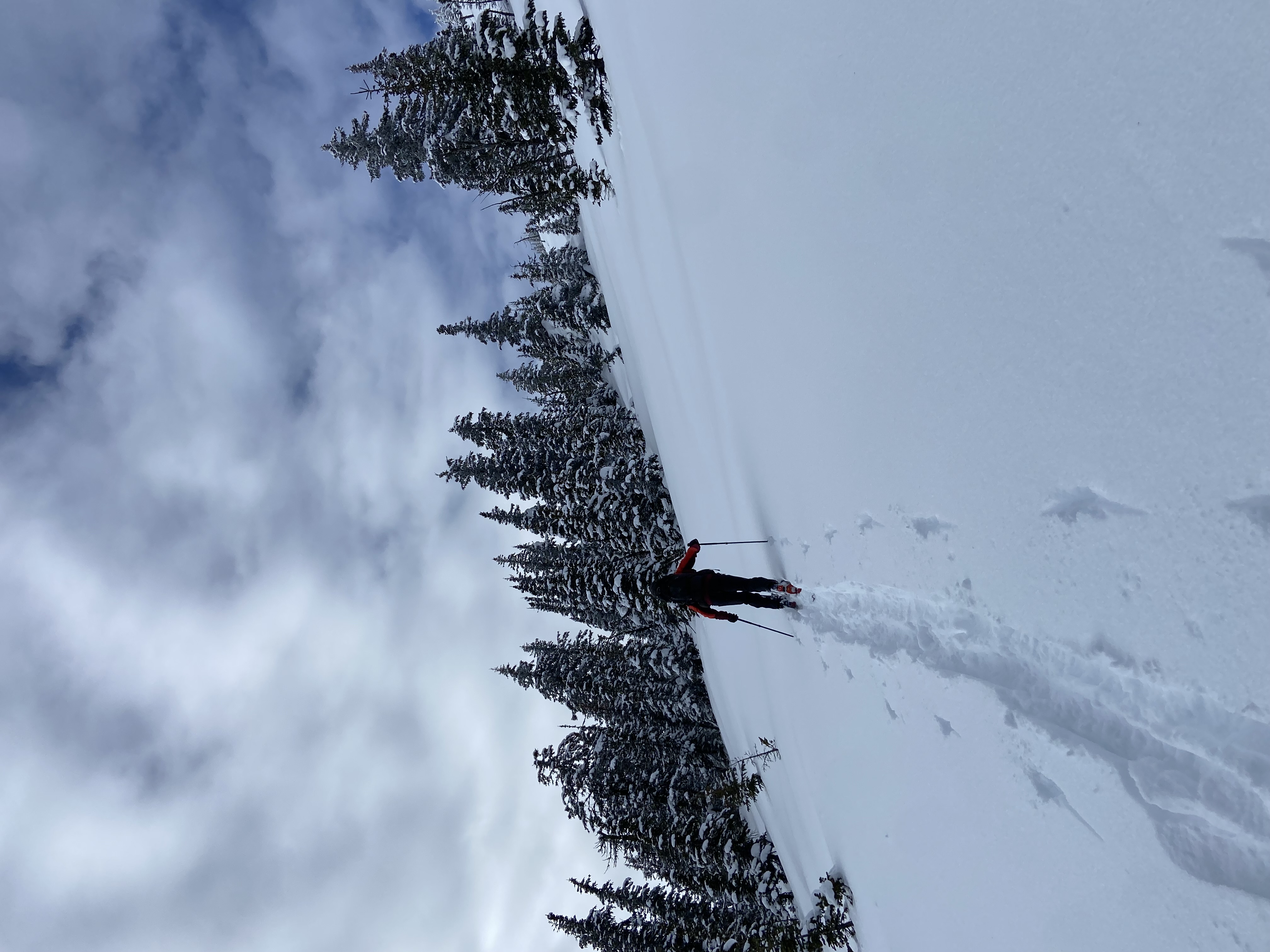 Observation photo