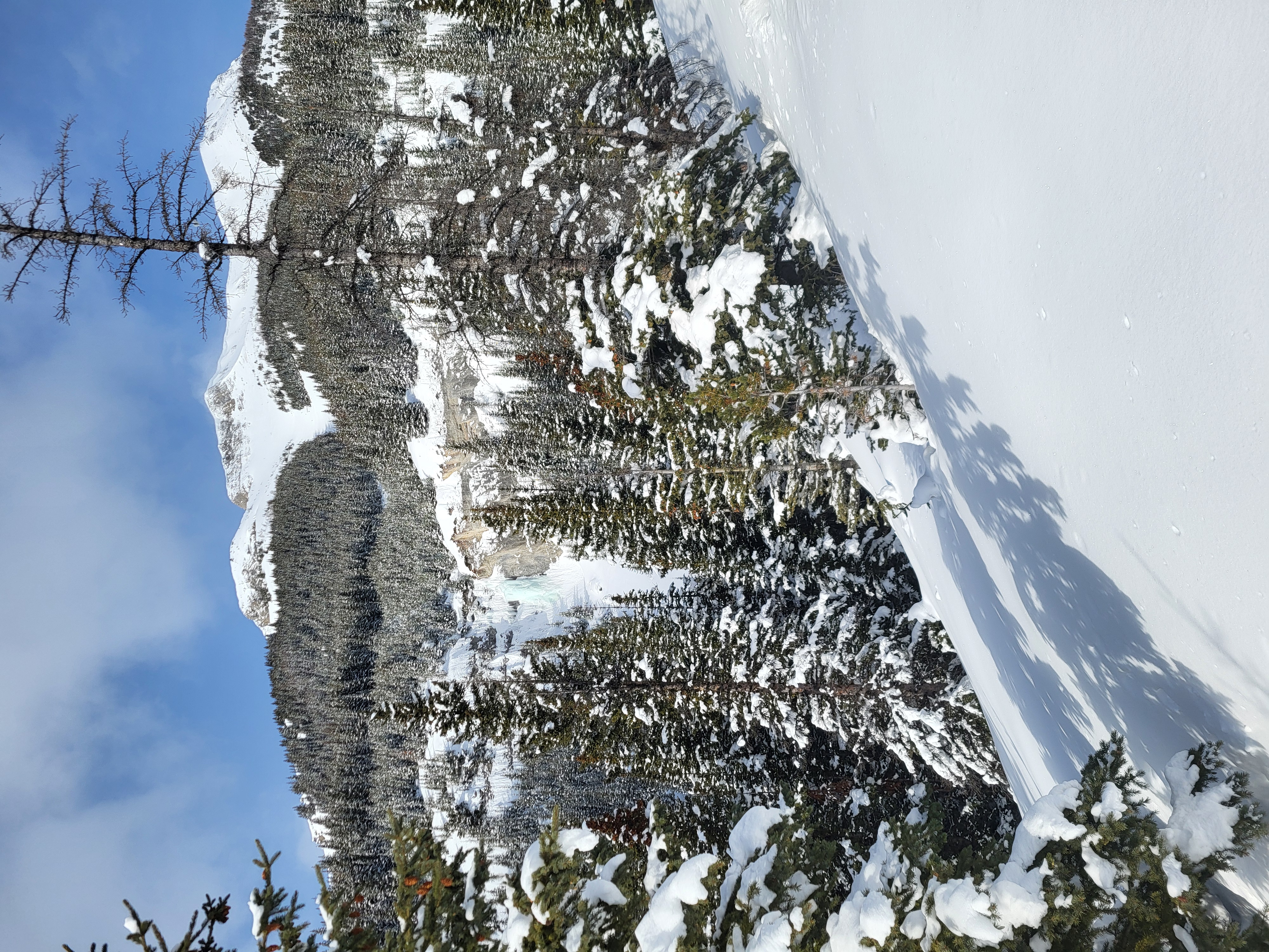 Observation photo