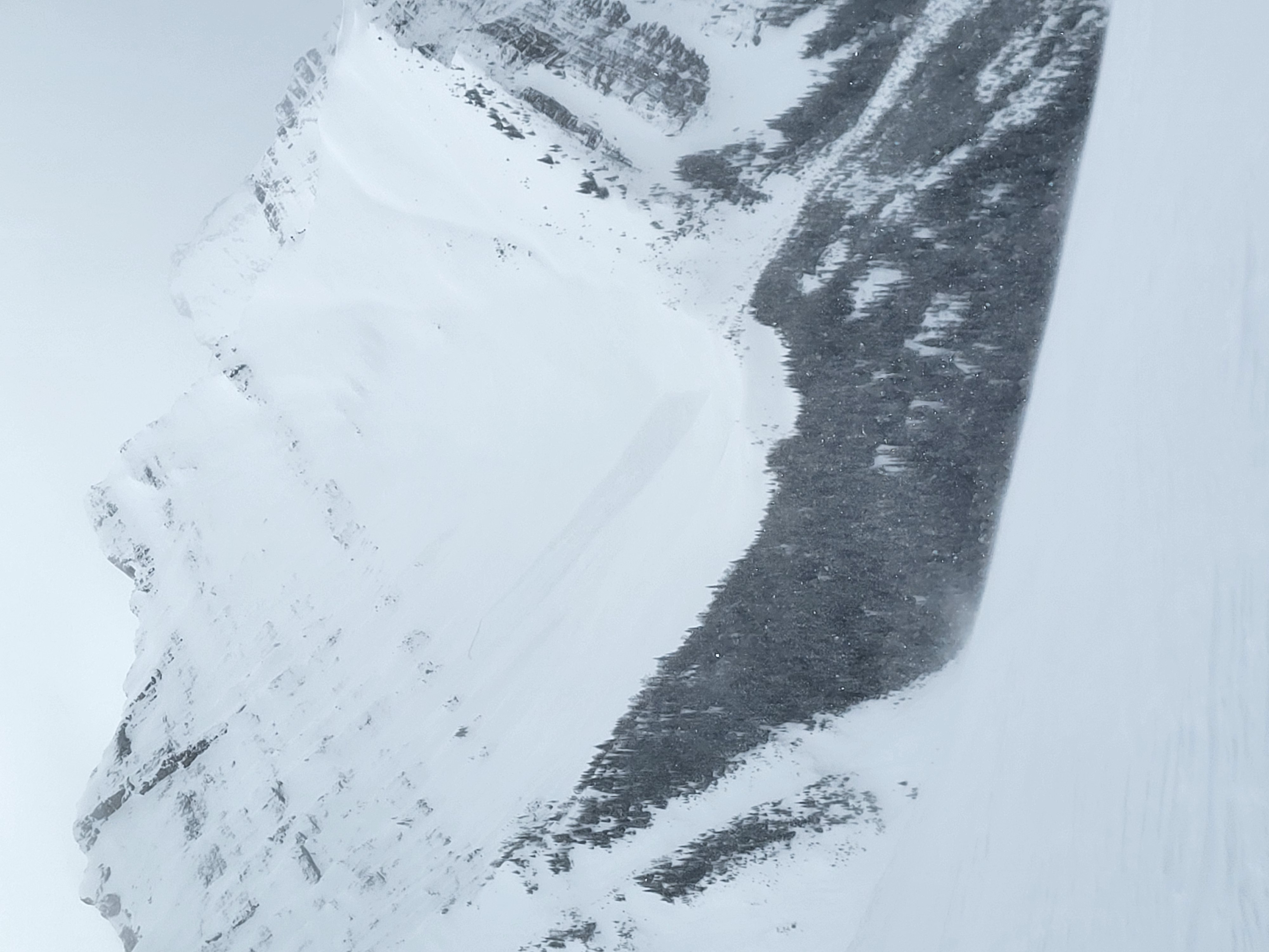 Observation photo