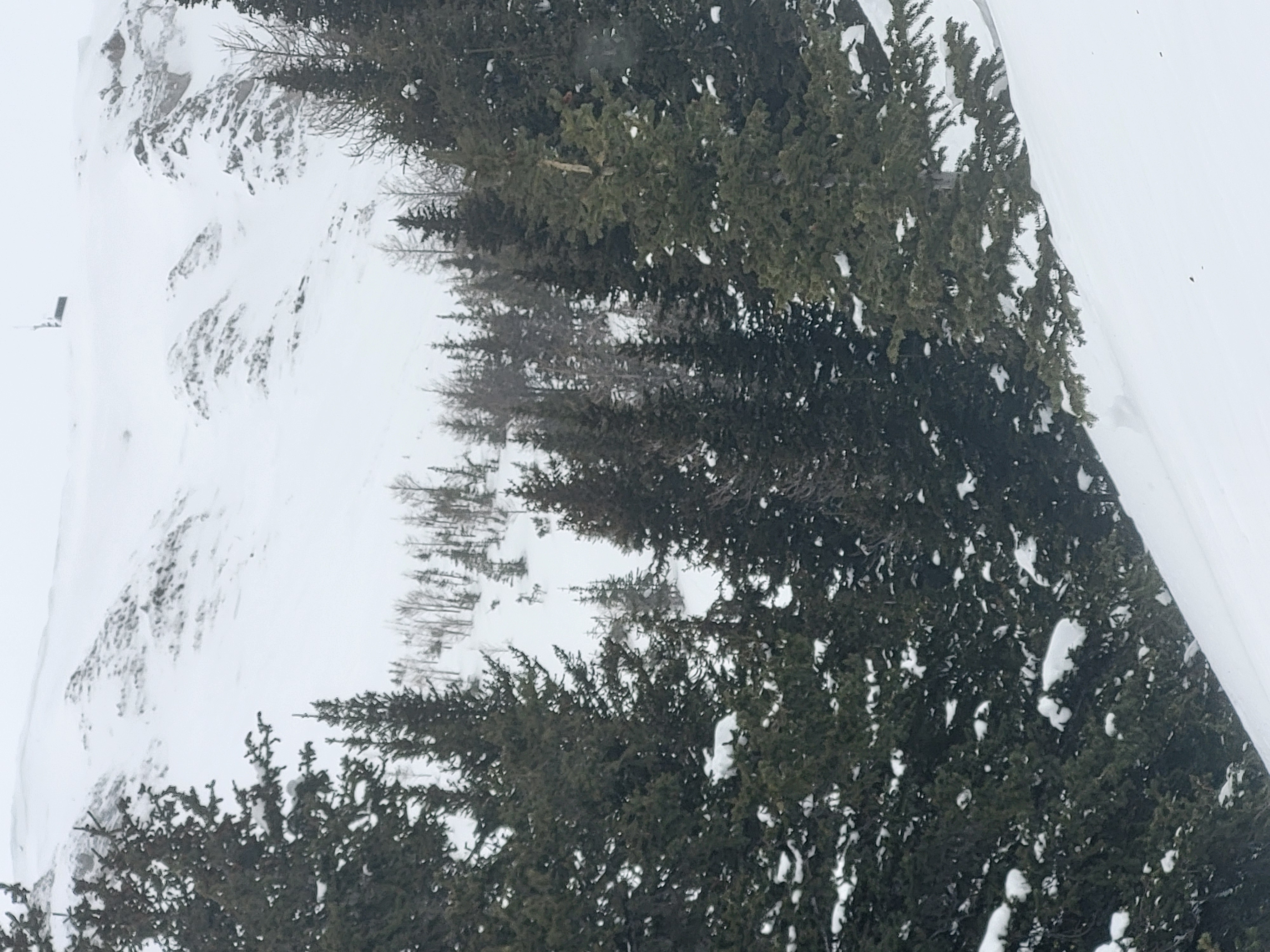 Observation photo