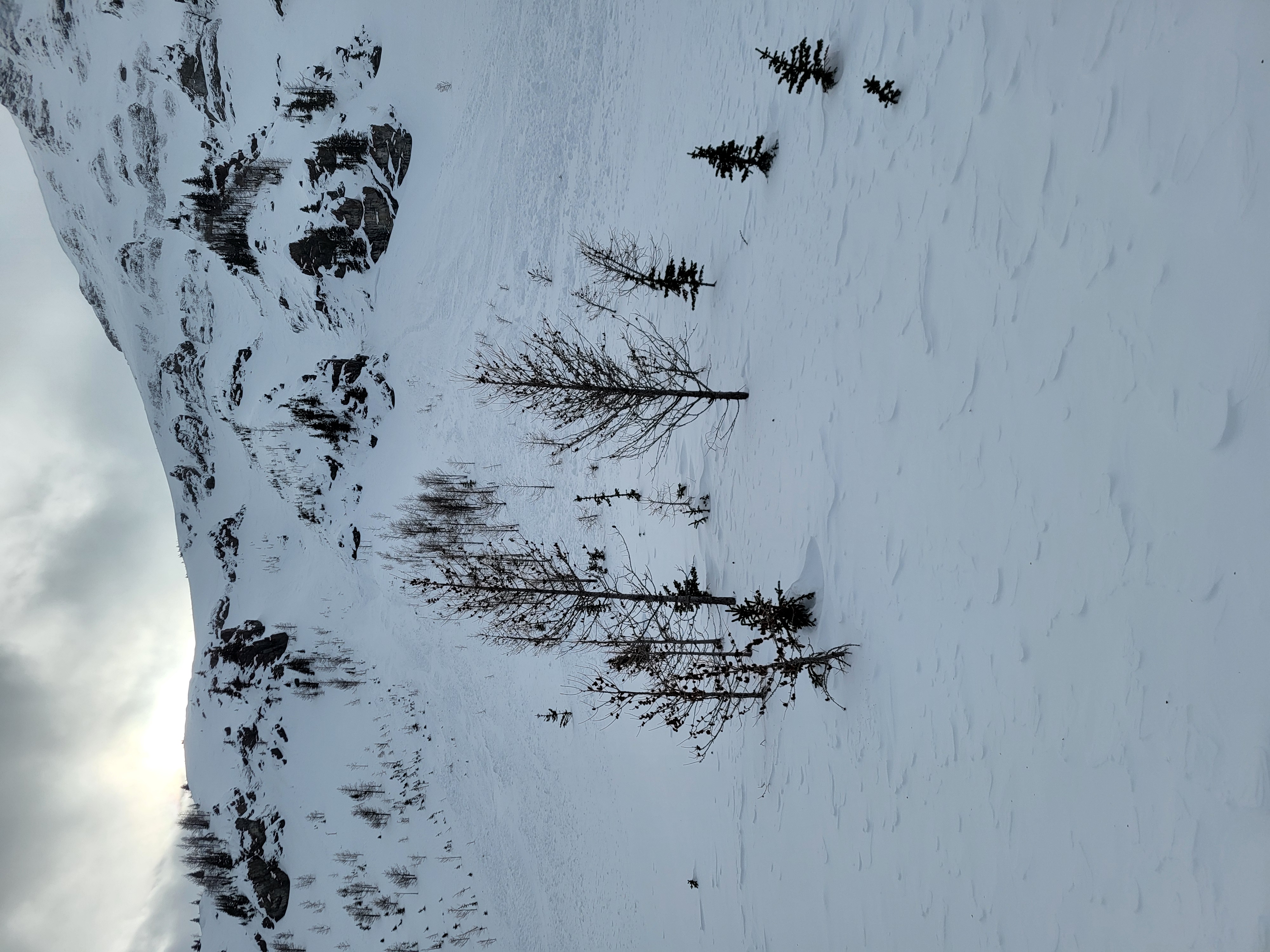 Observation photo