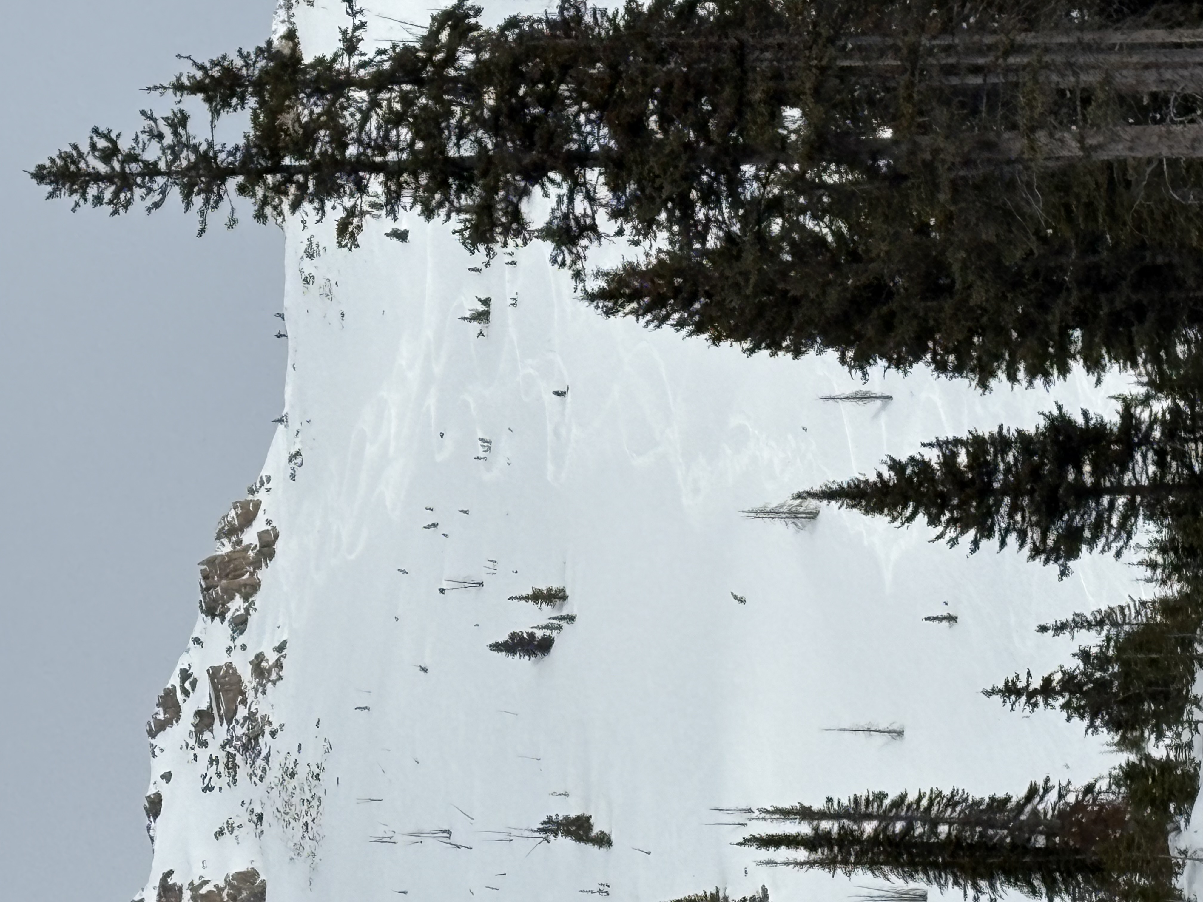 Observation photo
