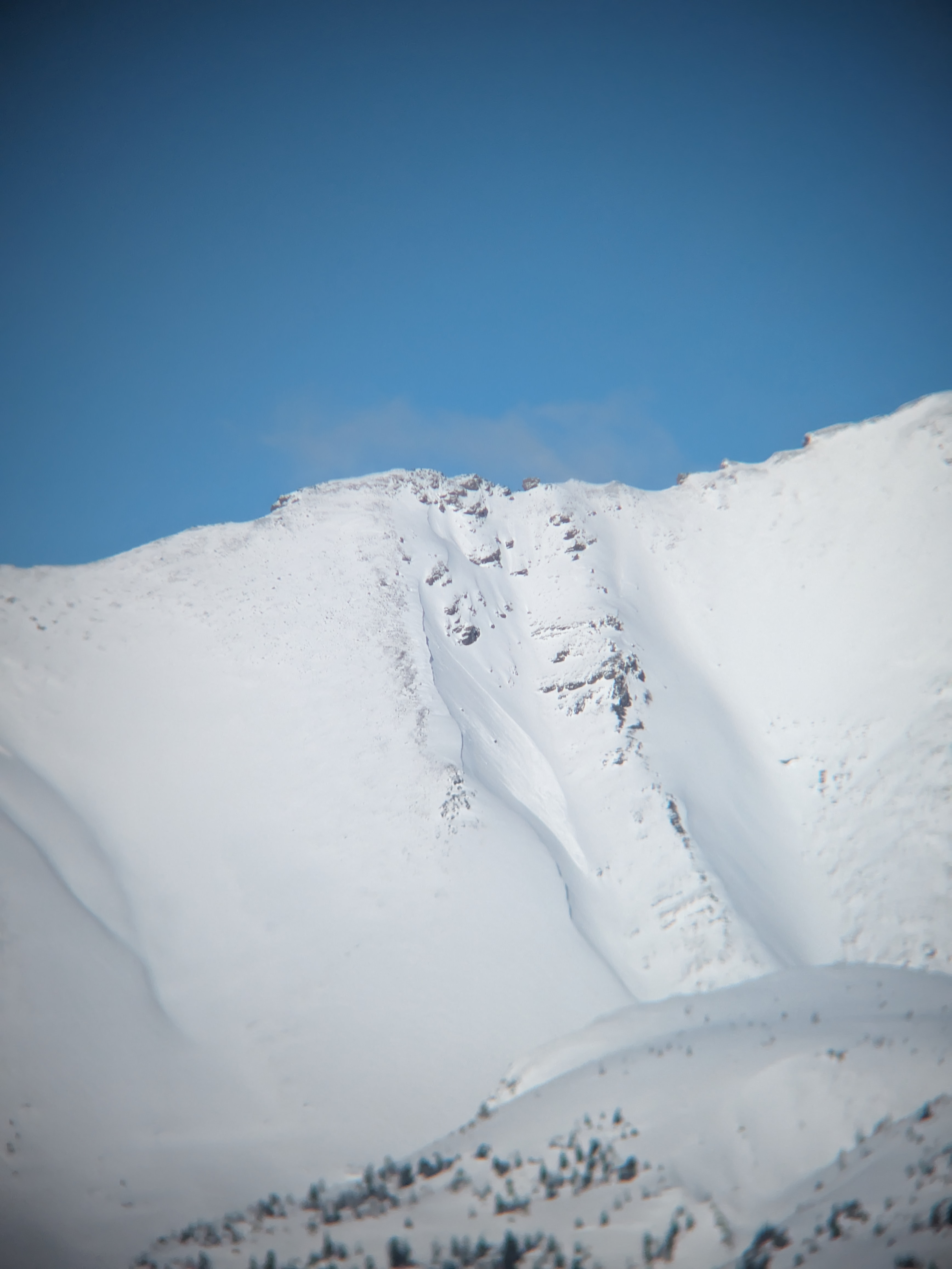 Observation photo