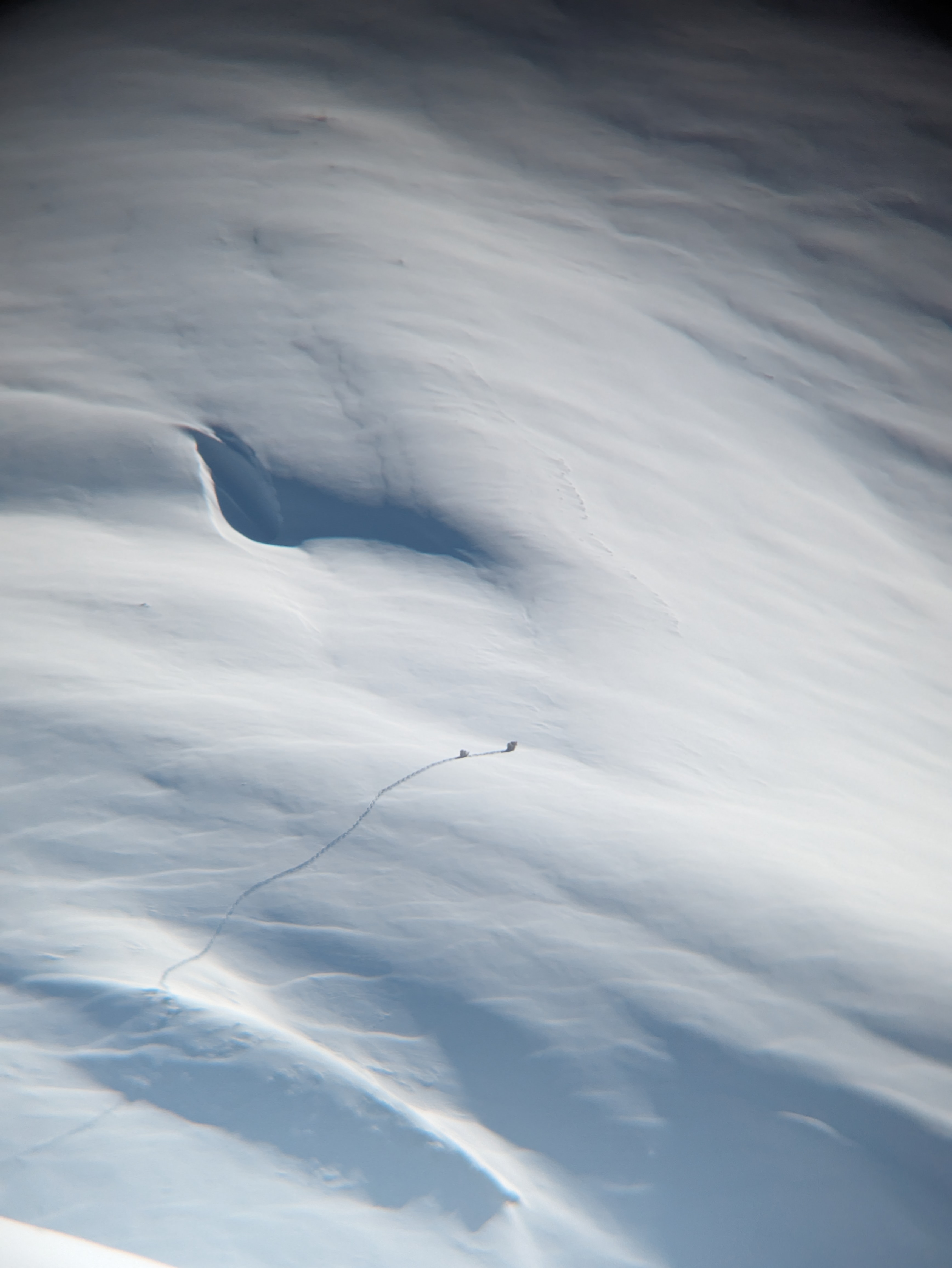 Observation photo