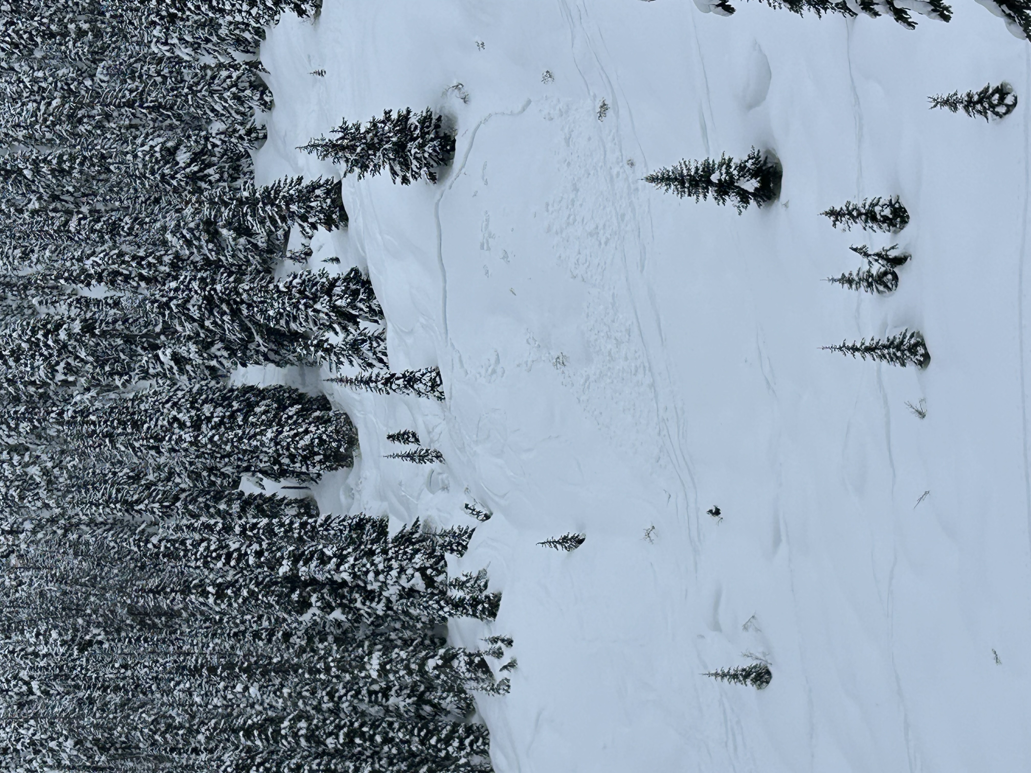 Observation photo