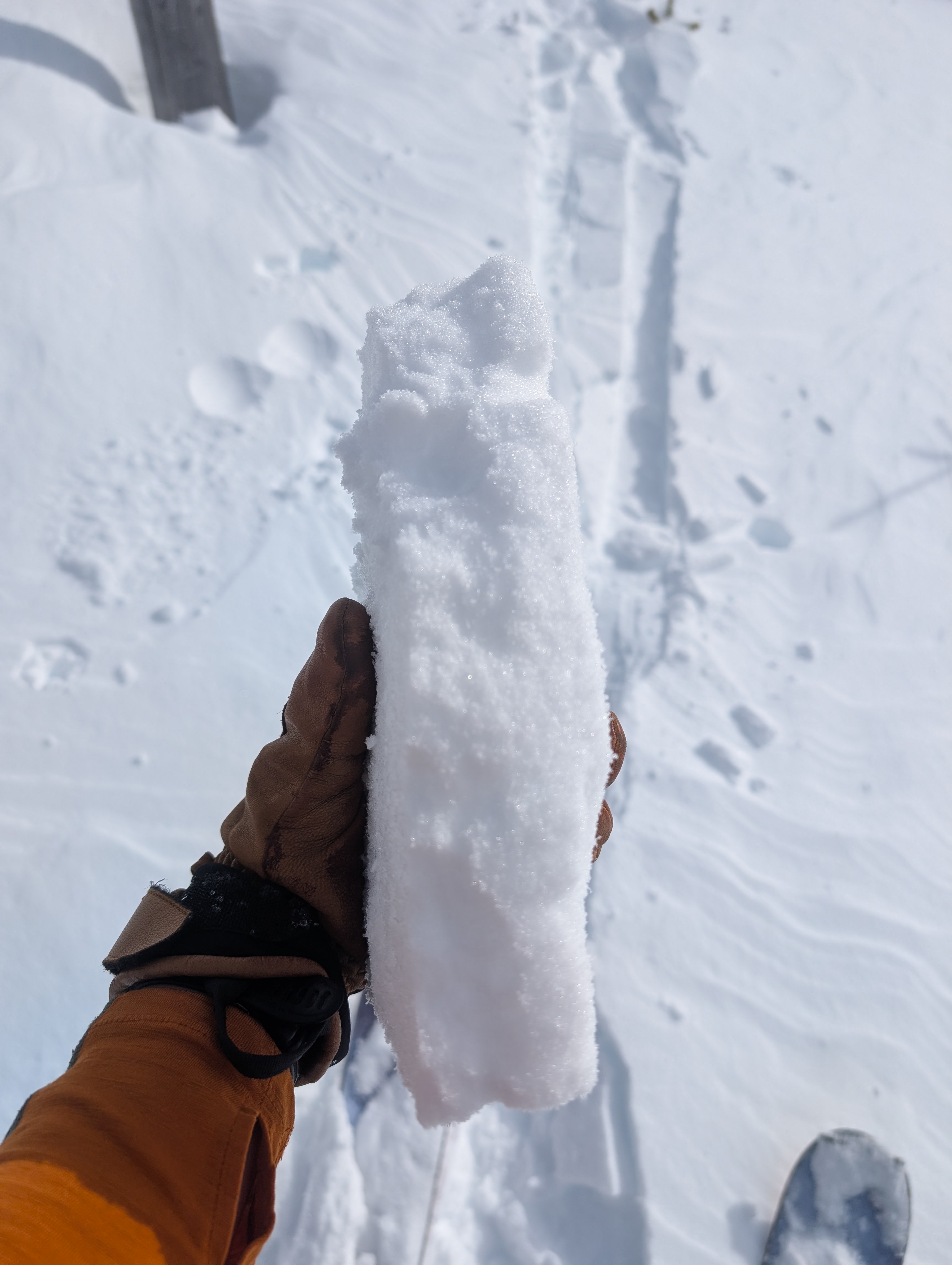 Observation photo