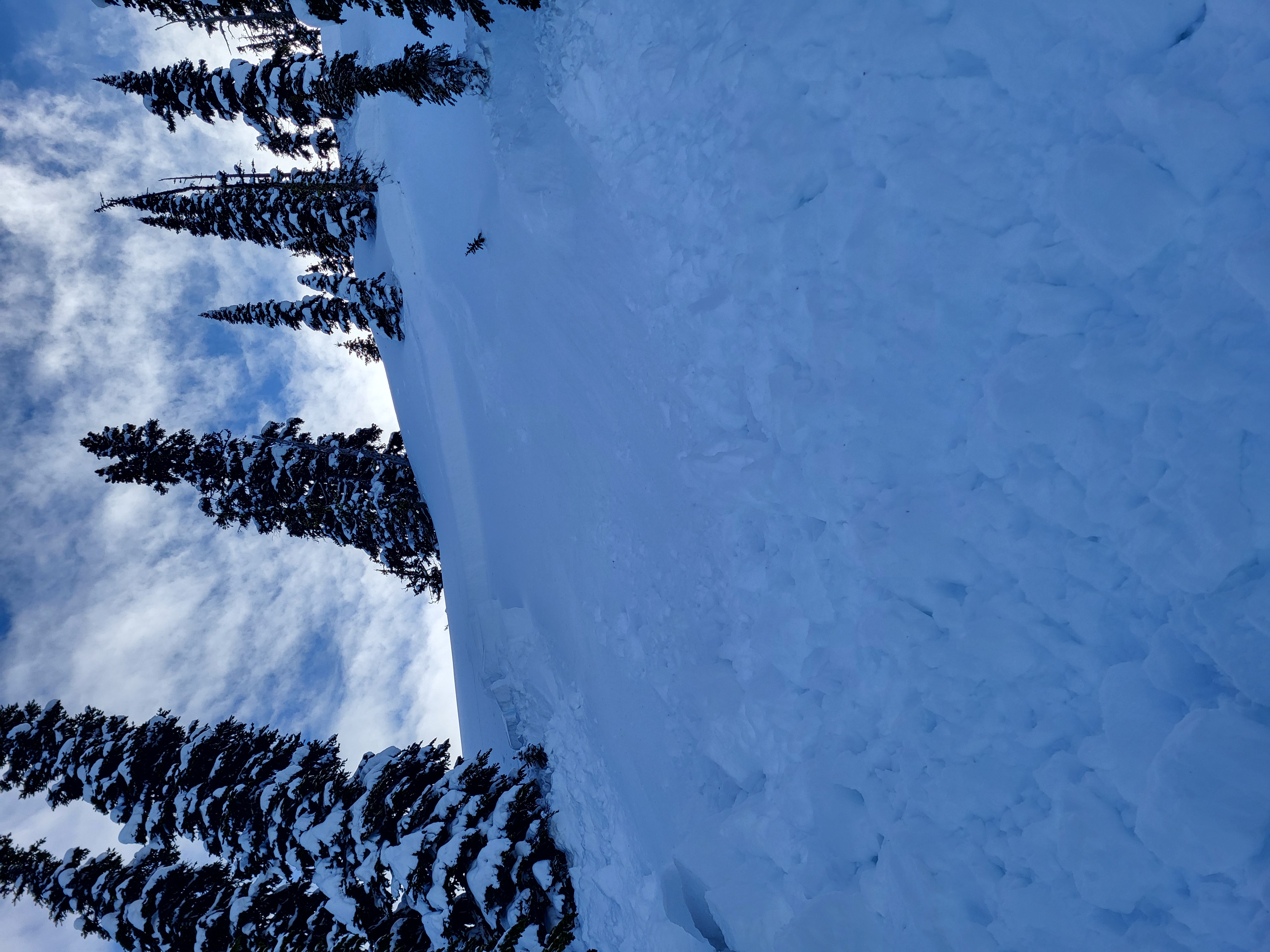 Observation photo