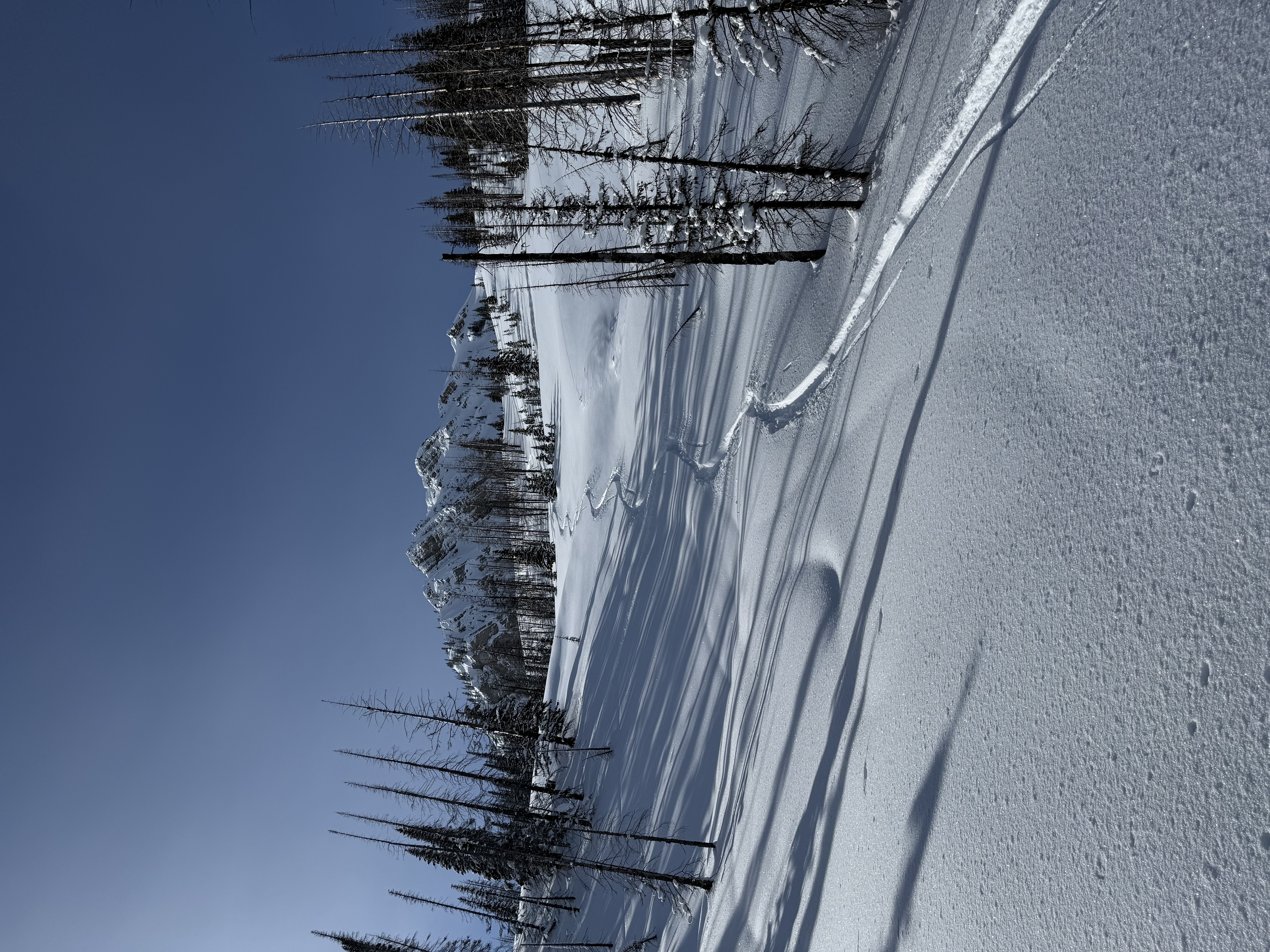 Observation photo