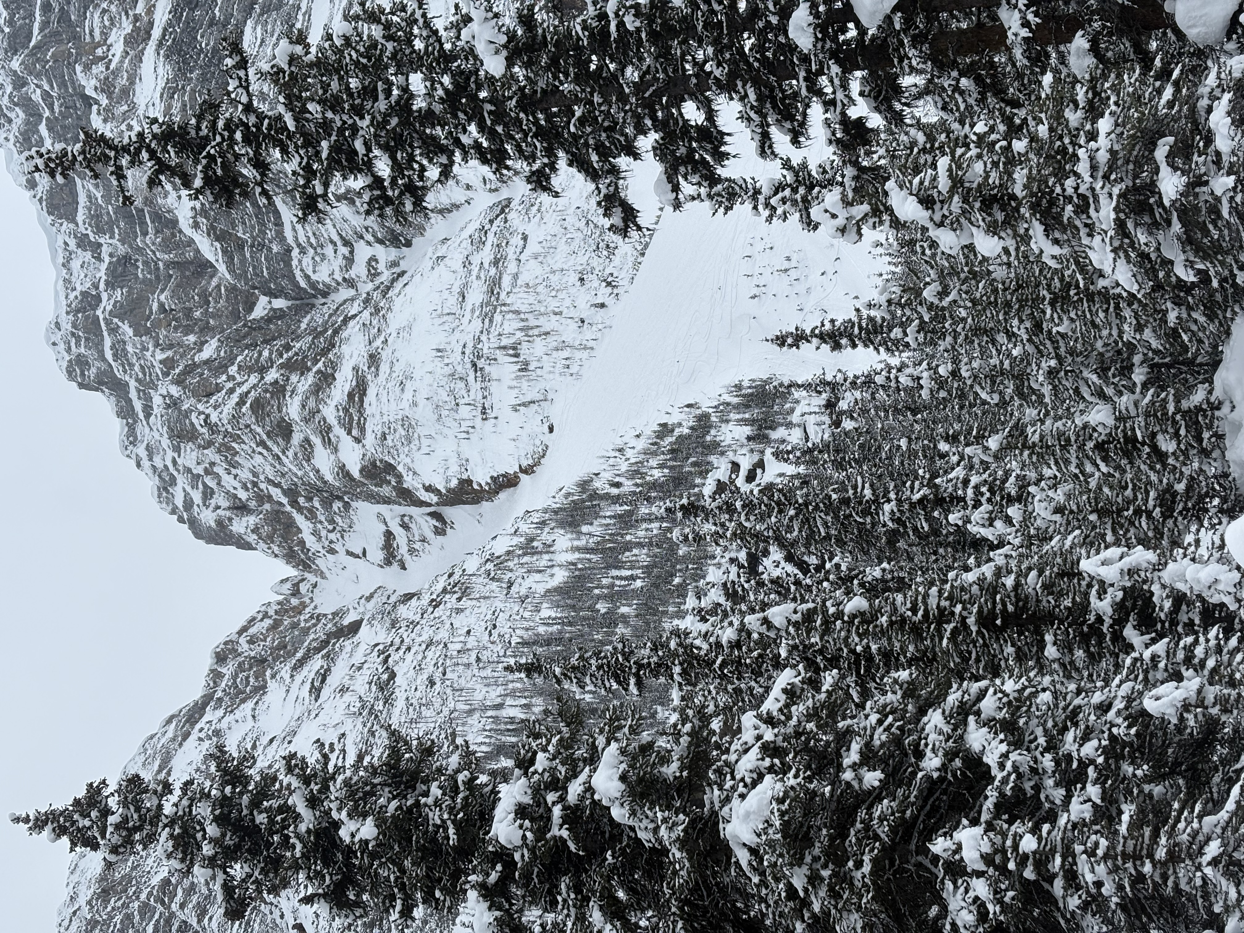Observation photo