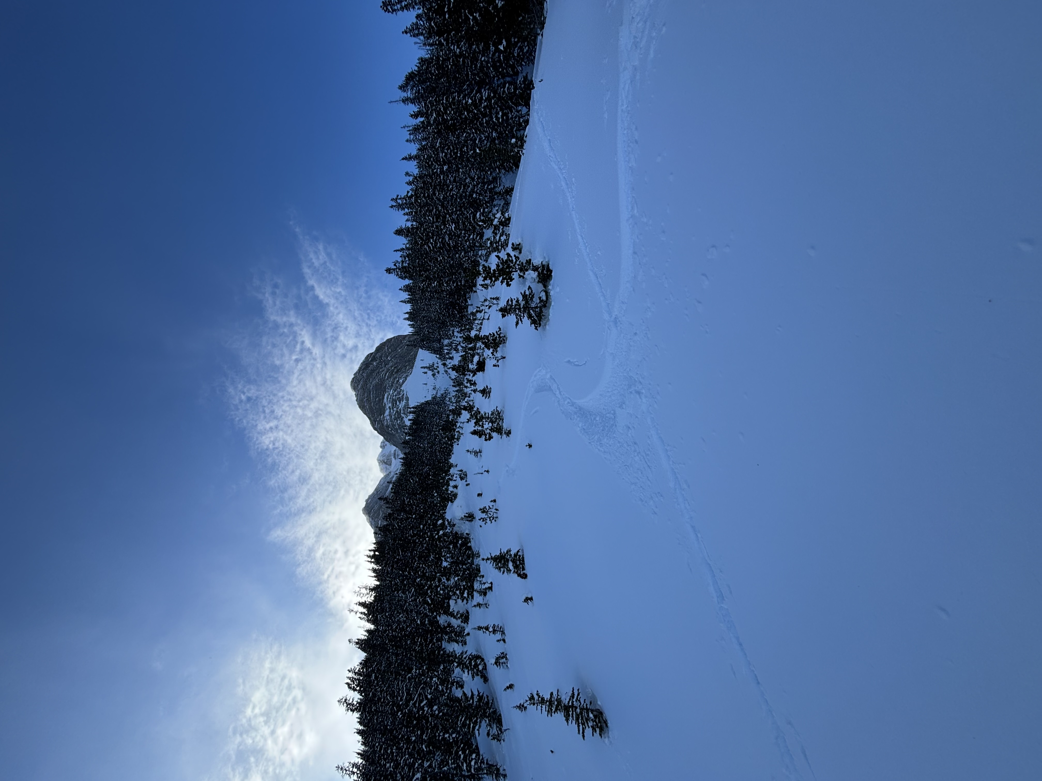 Observation photo