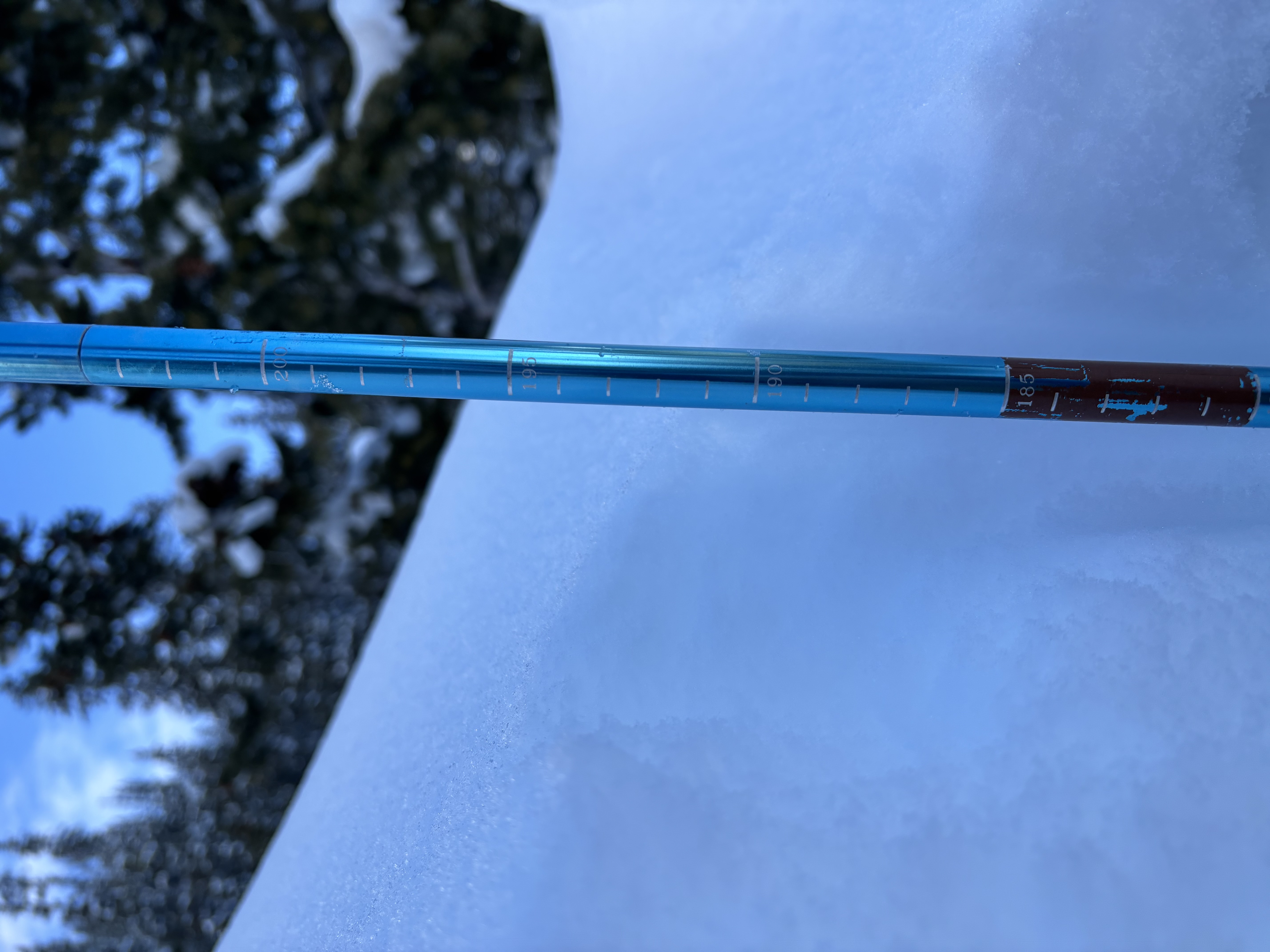 Observation photo
