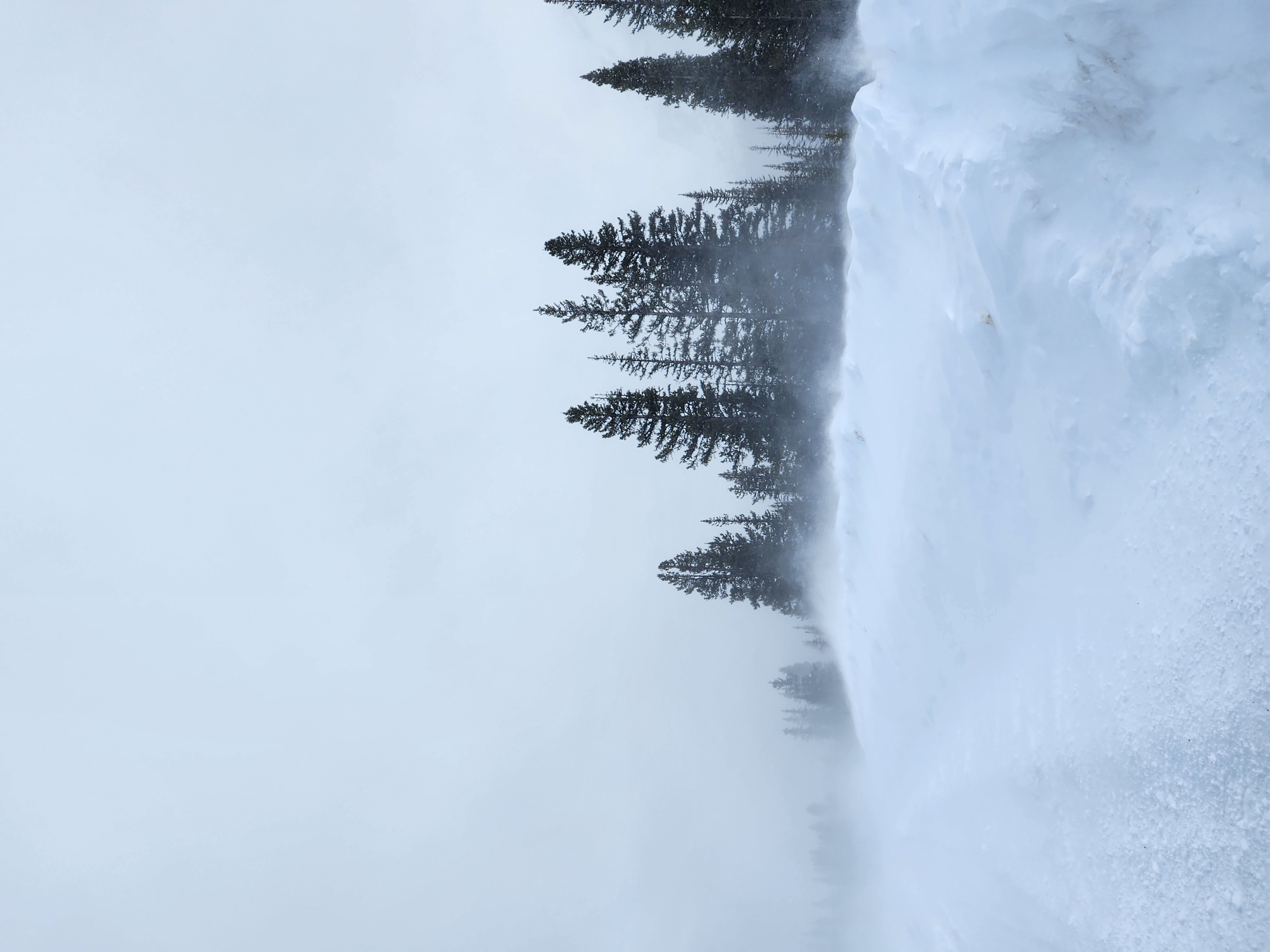 Observation photo