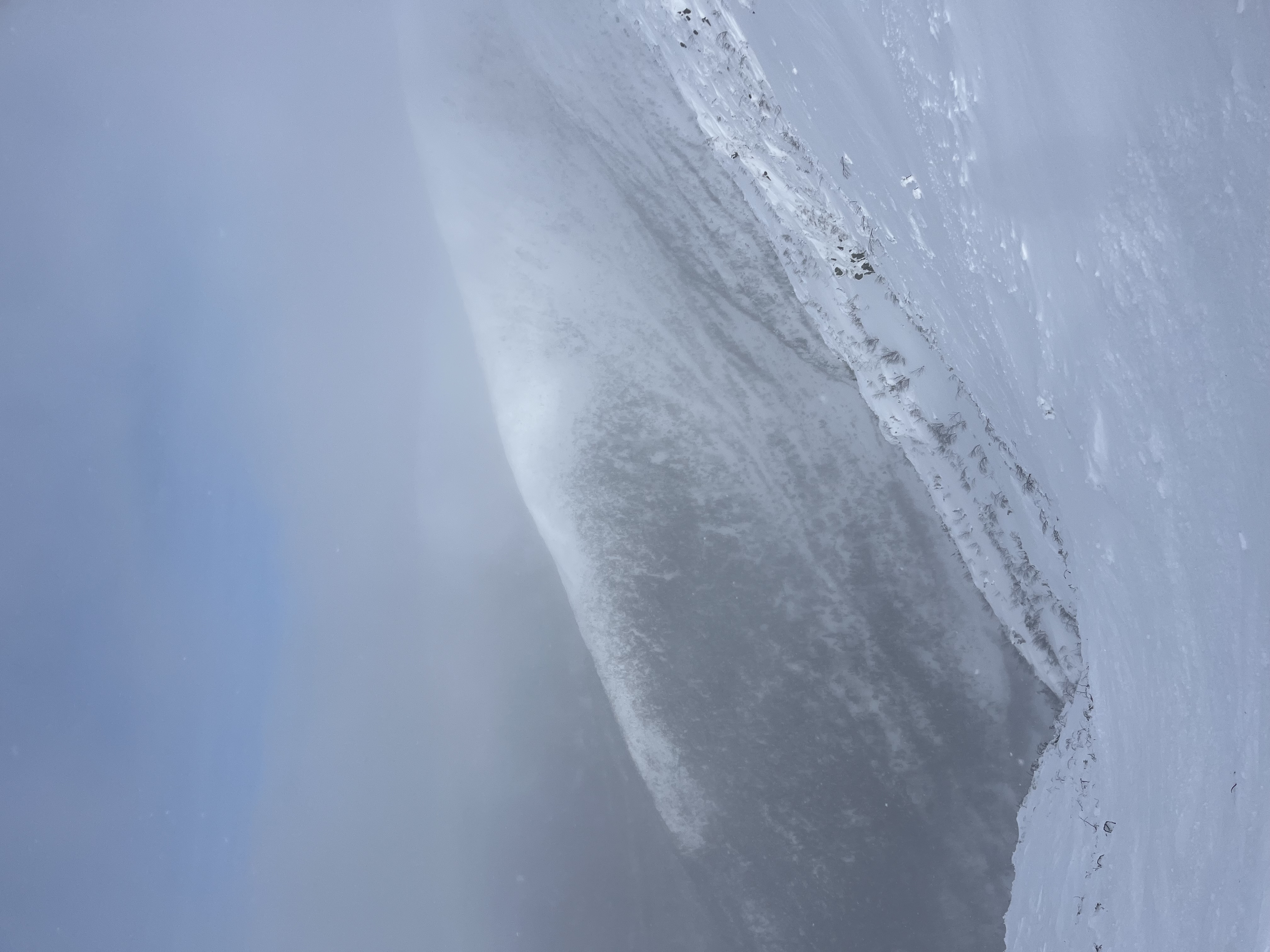 Observation photo