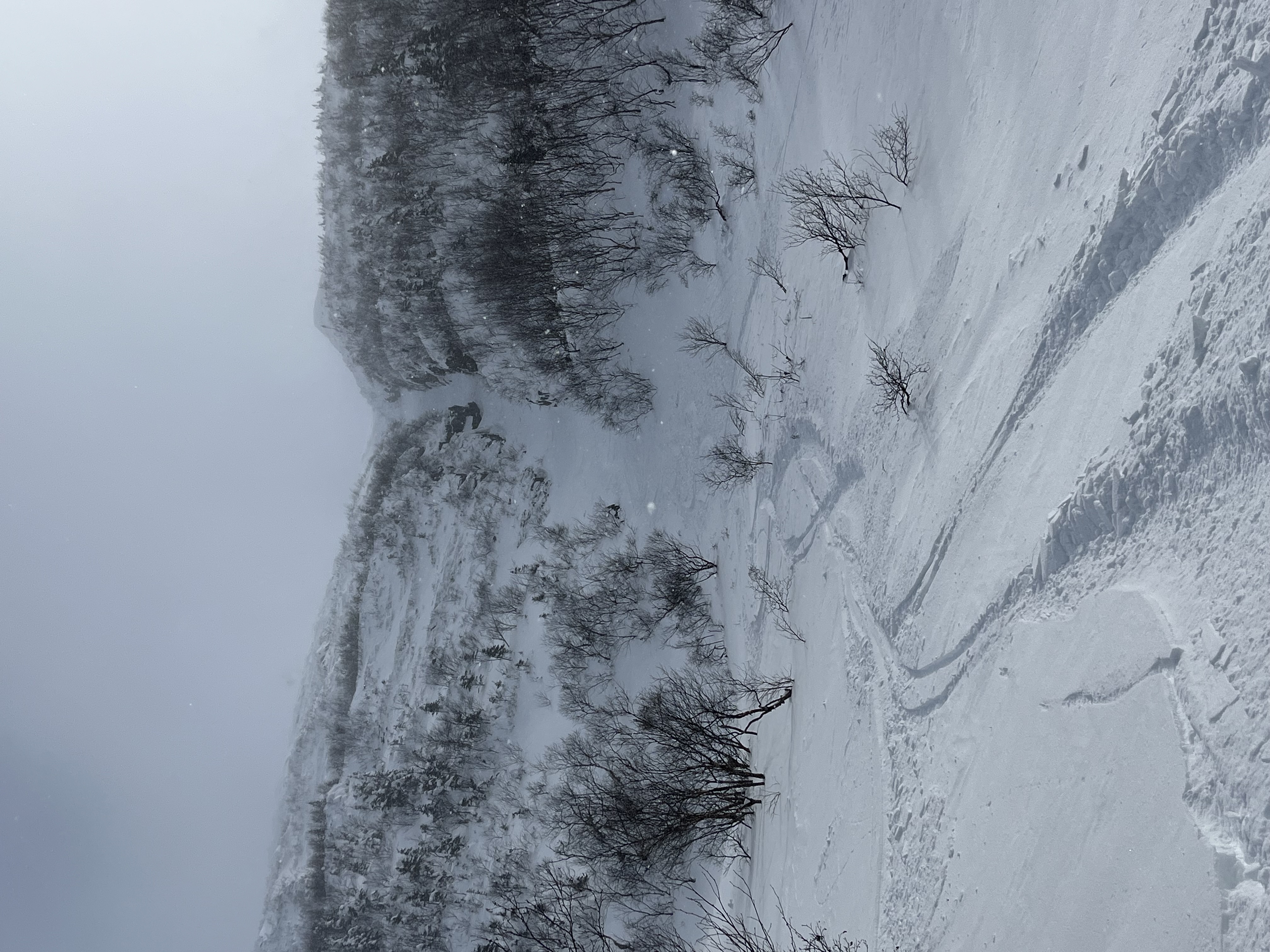 Observation photo