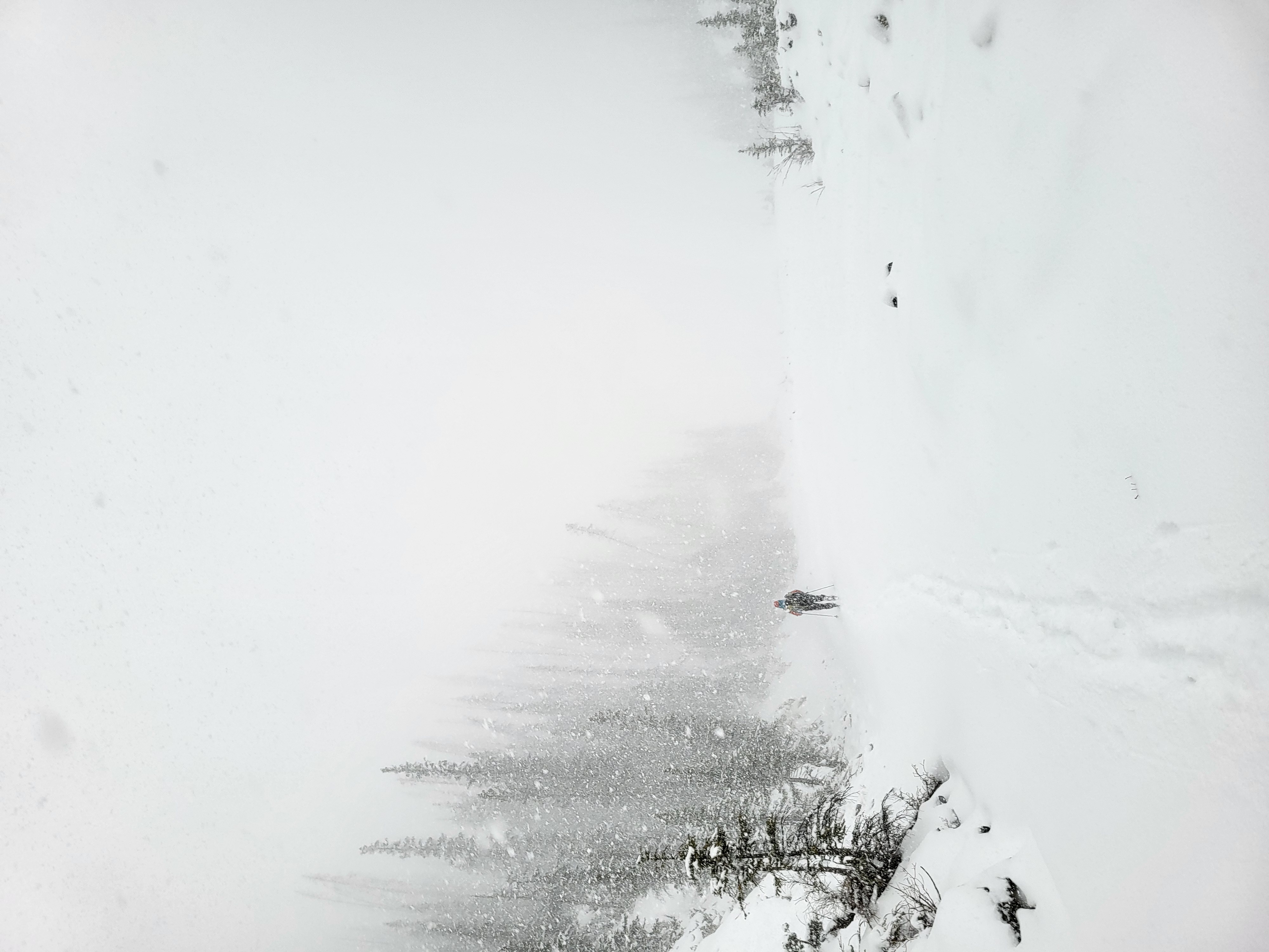 Observation photo