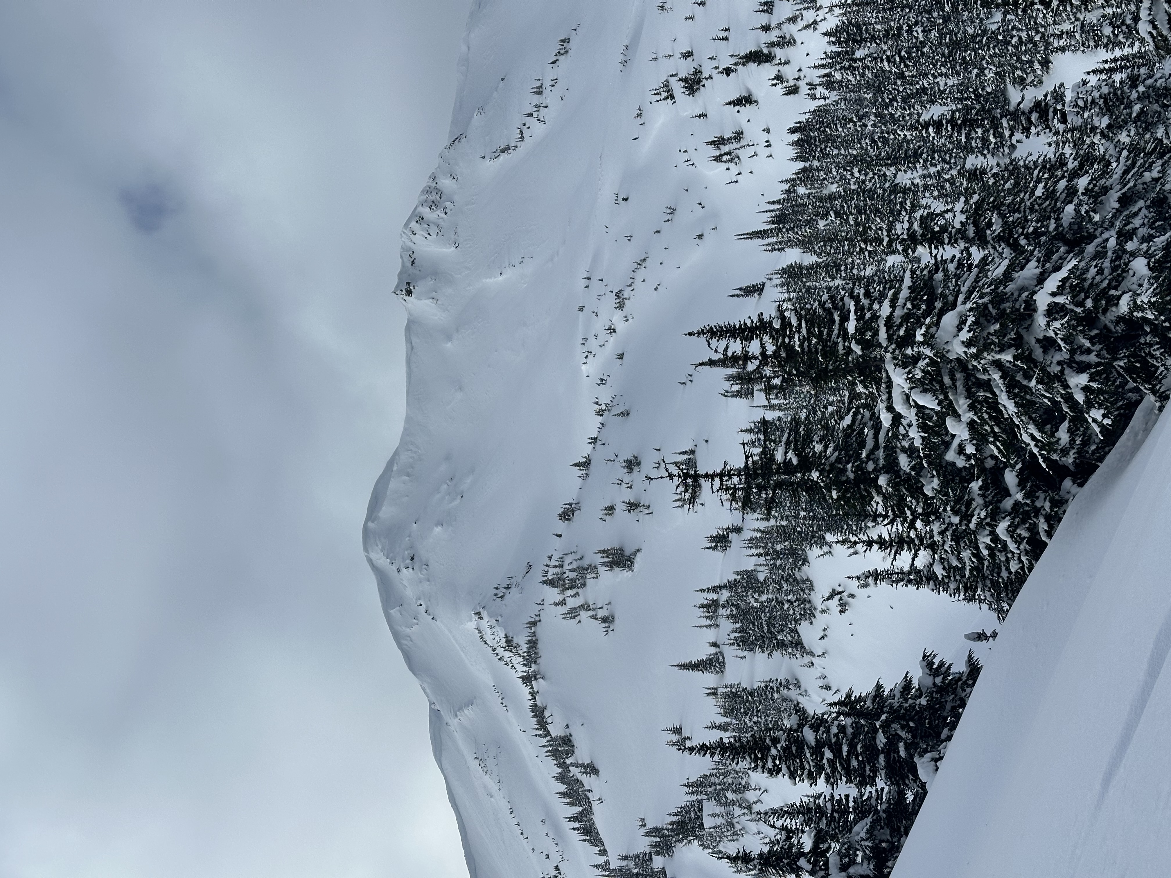 Observation photo